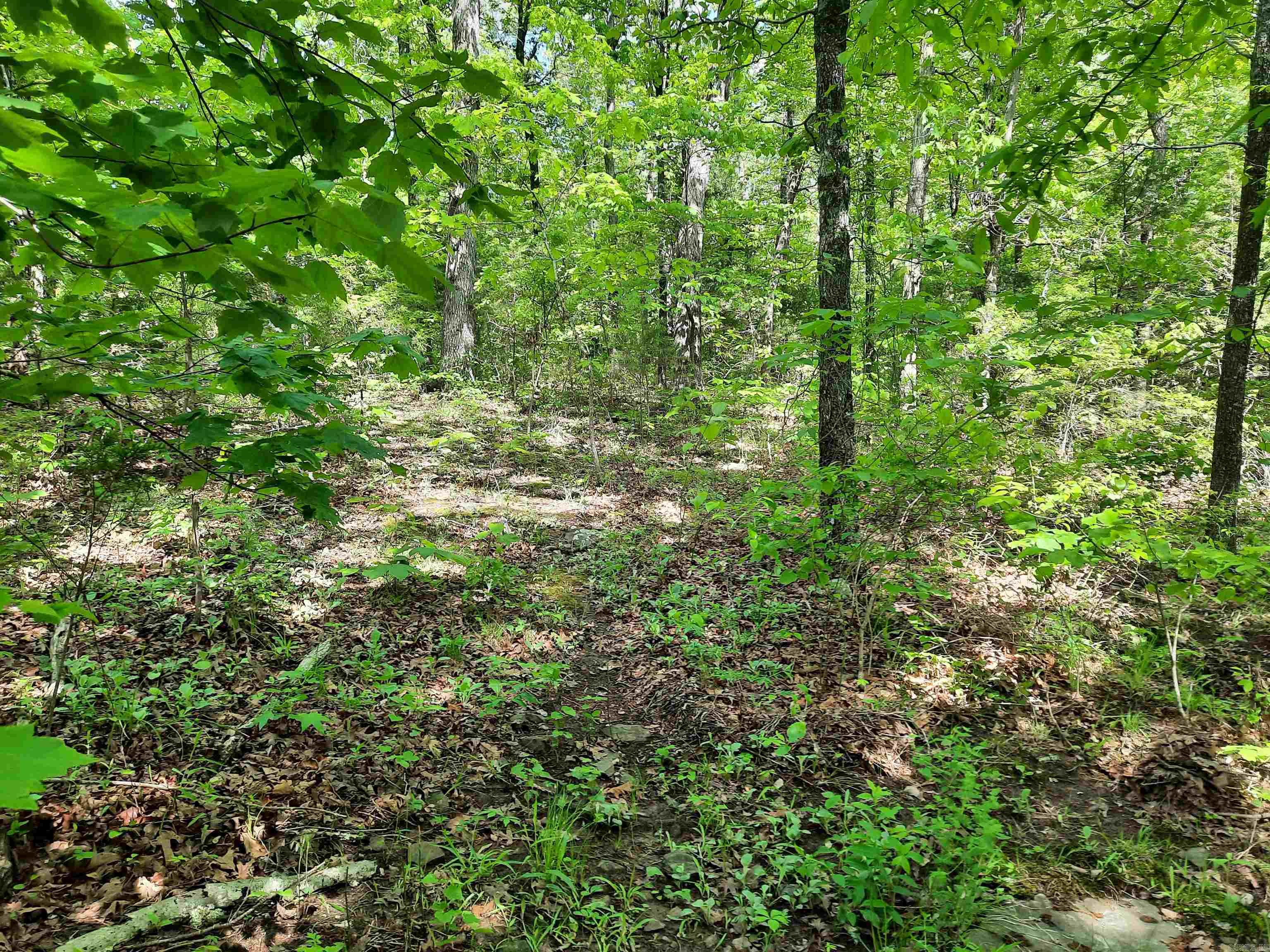 Flat Rock Property Photo 9