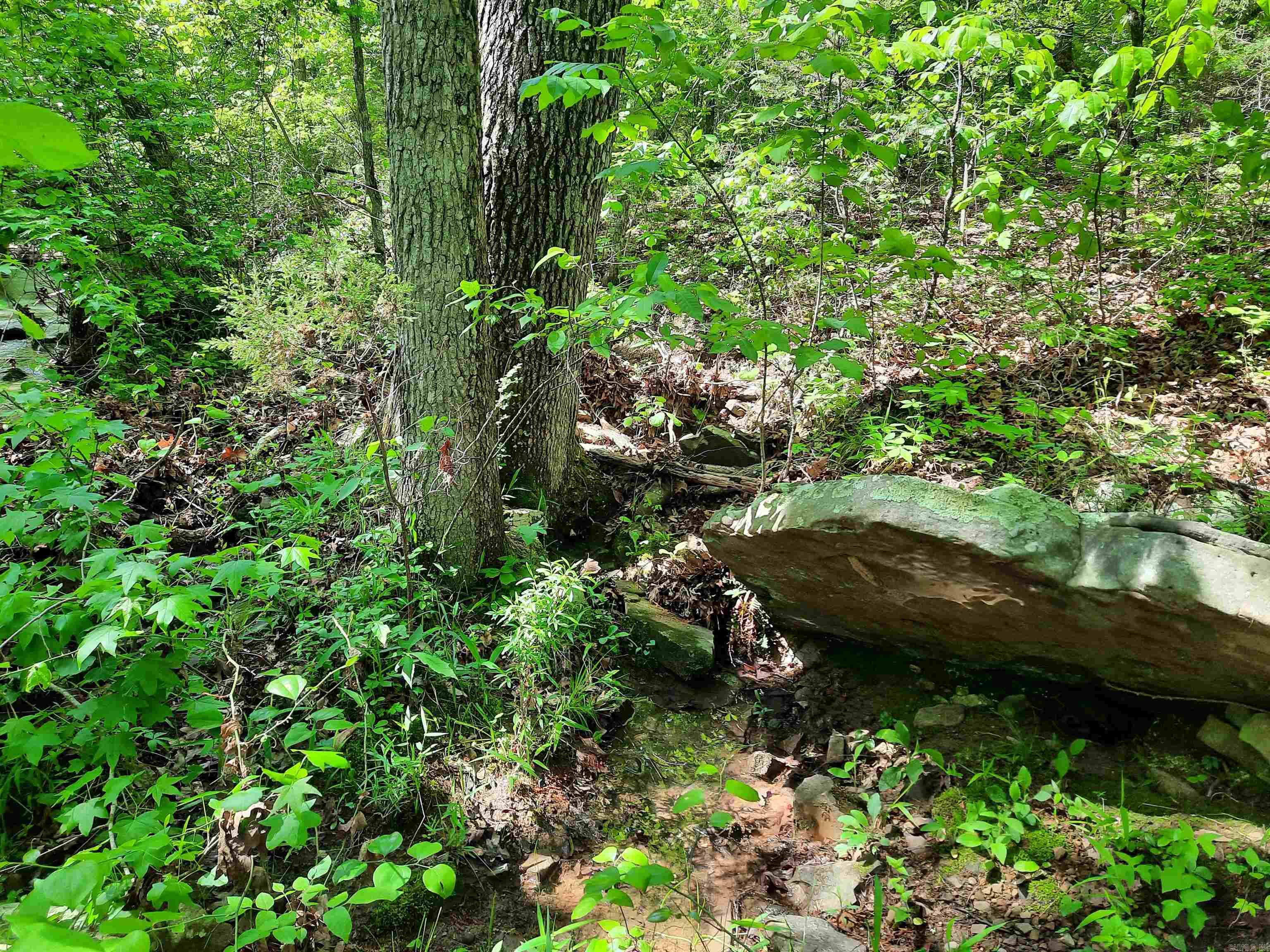 Flat Rock Property Photo 10