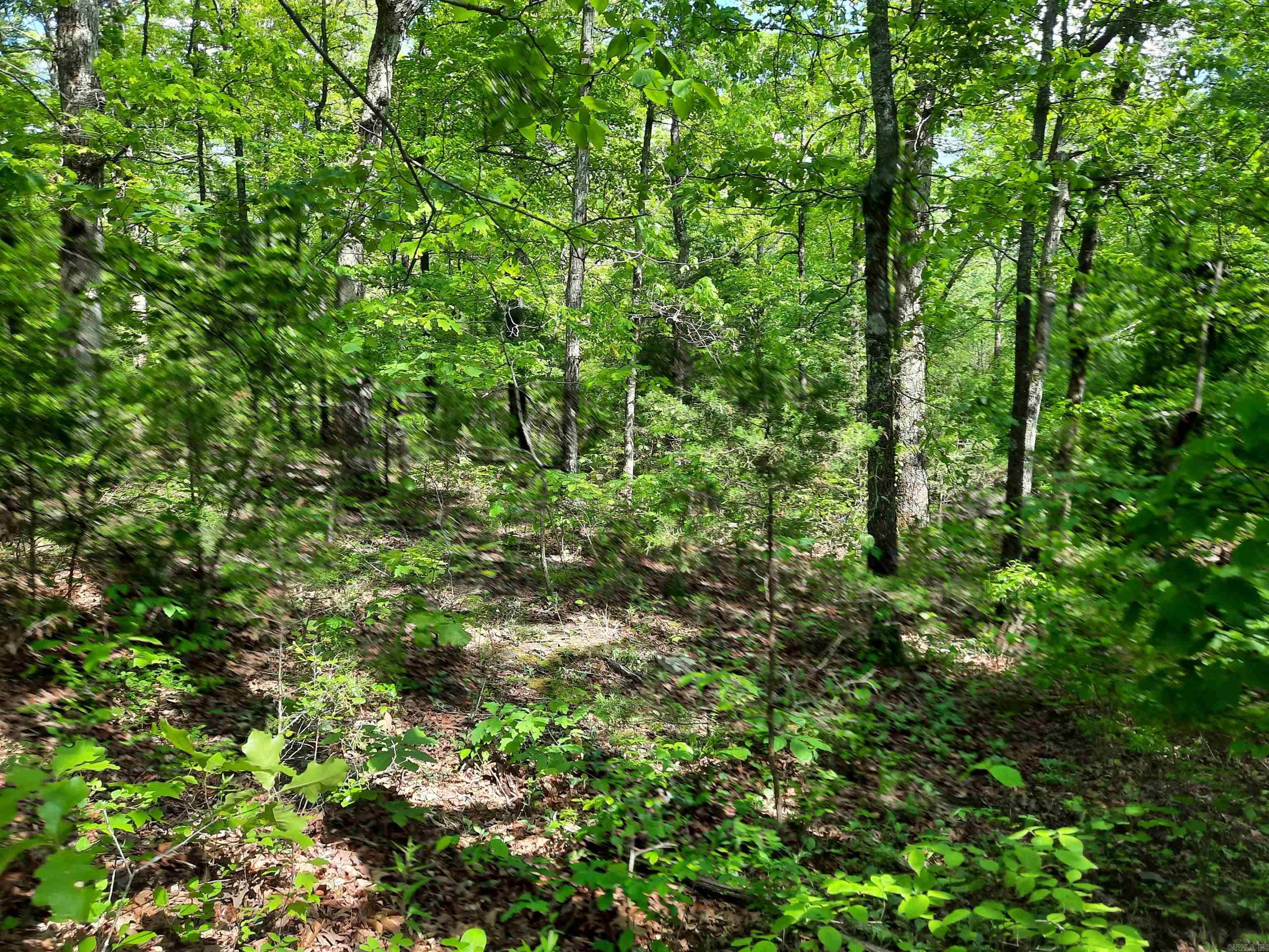 Flat Rock Property Photo 11