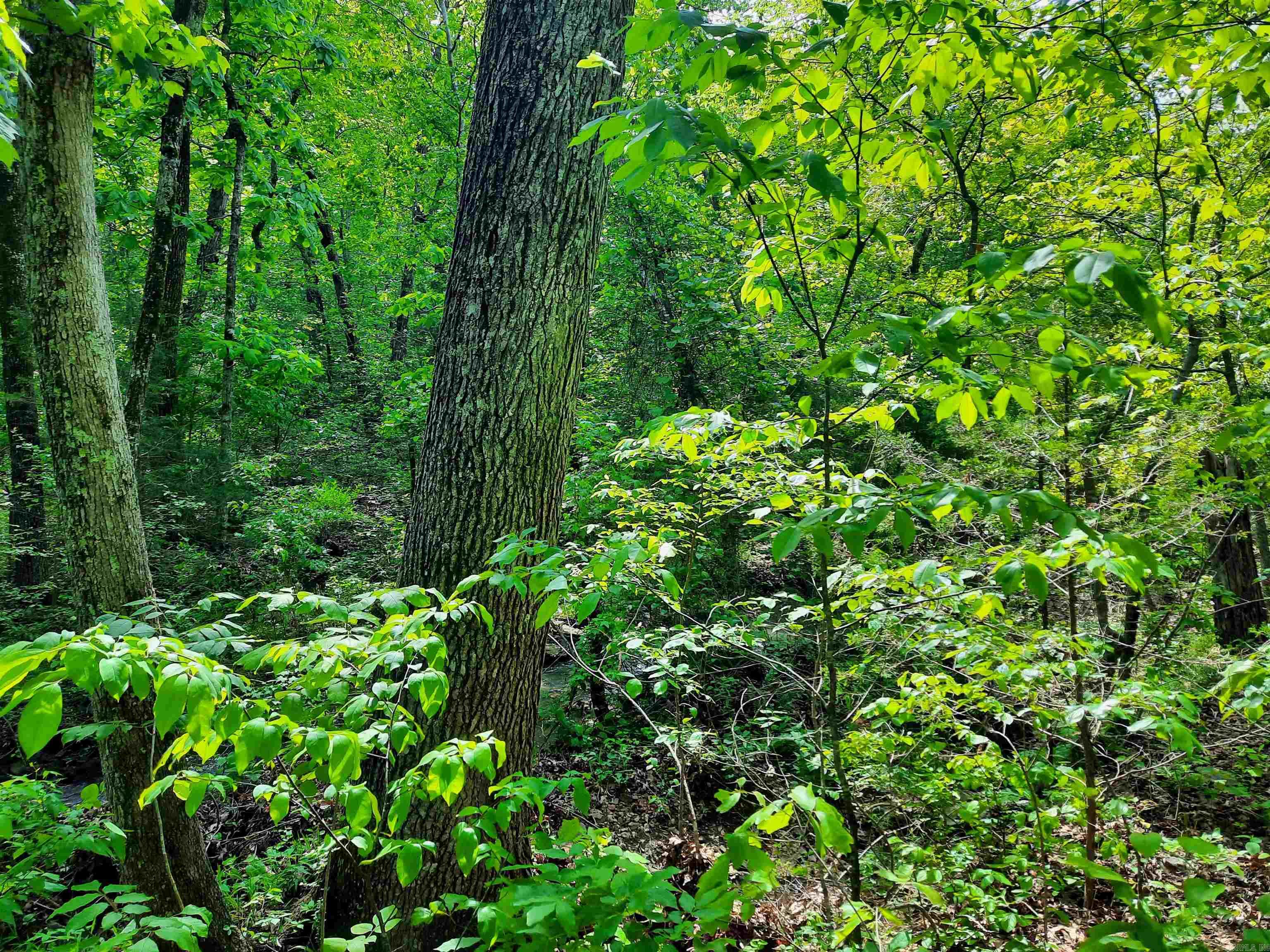 Flat Rock Property Photo 12