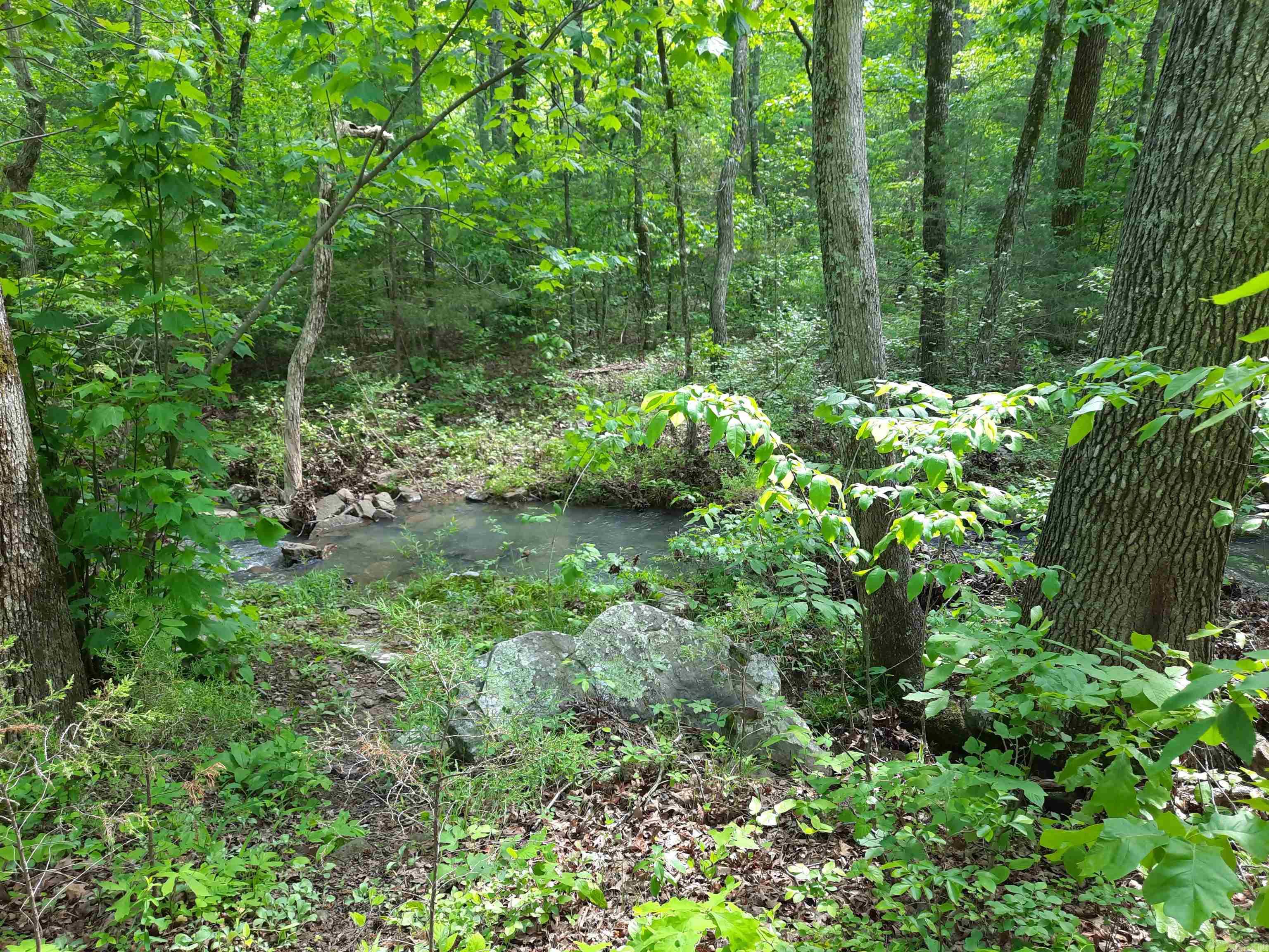 Flat Rock Property Photo 13