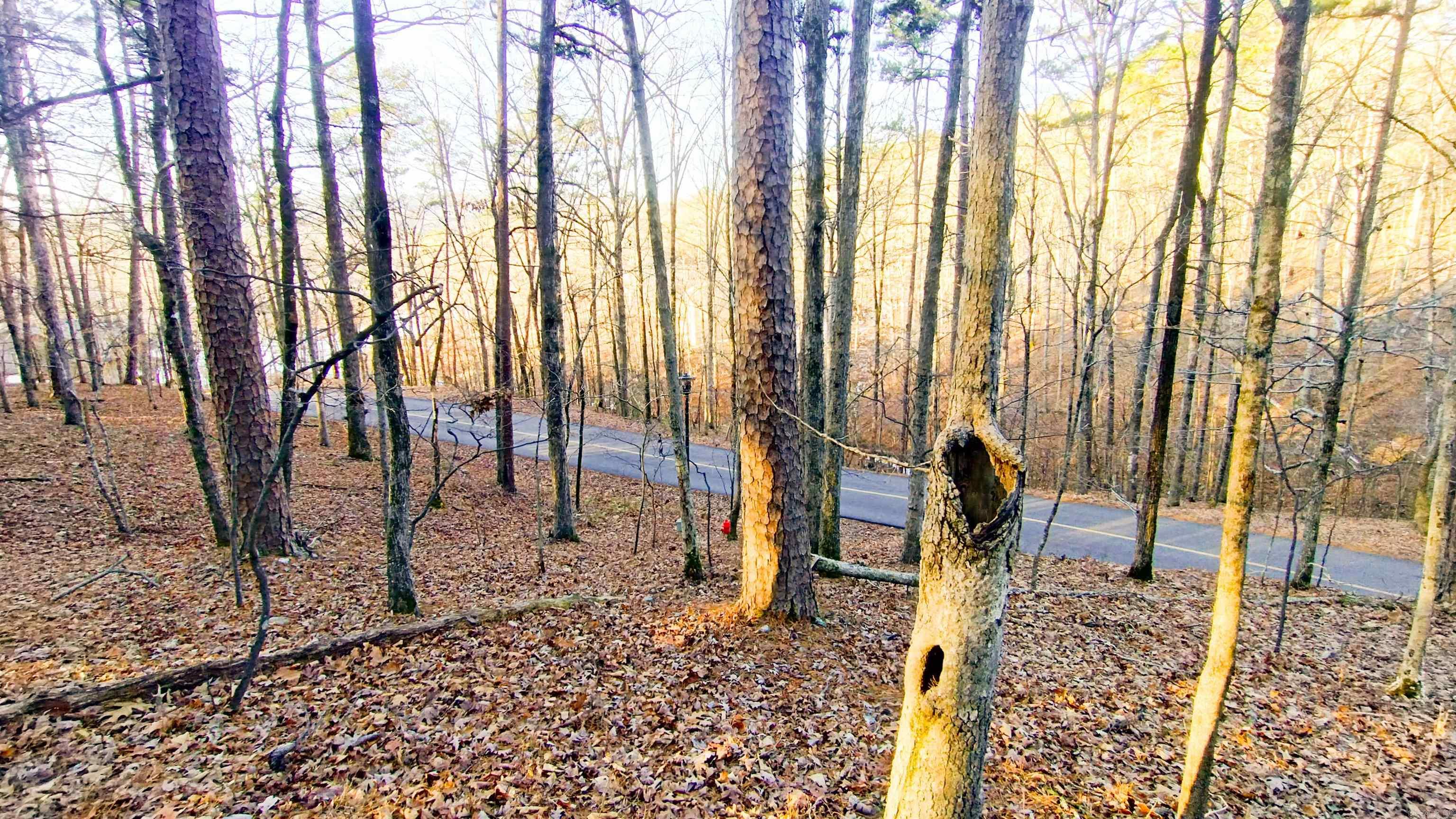 0 Empinado Way Property Photo 2