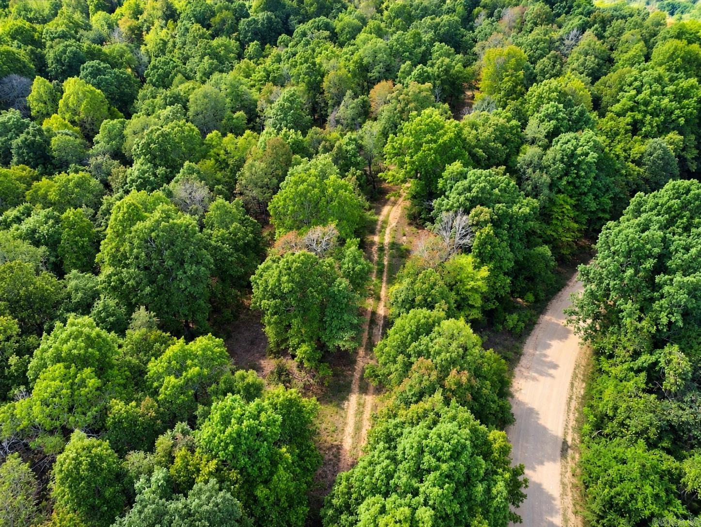 Upper Janes Creek Road Property Photo 4