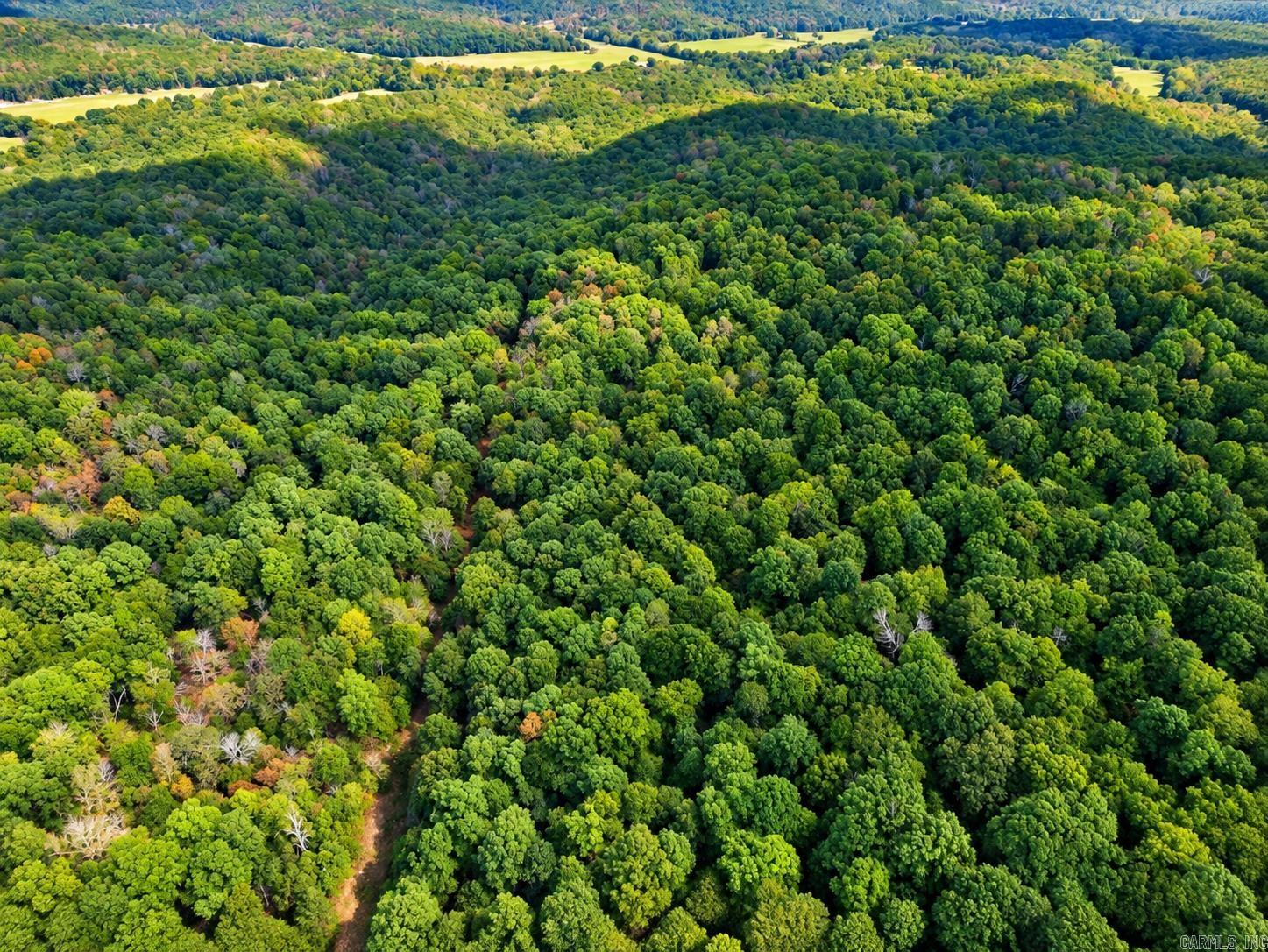 Upper Janes Creek Road Property Photo 5