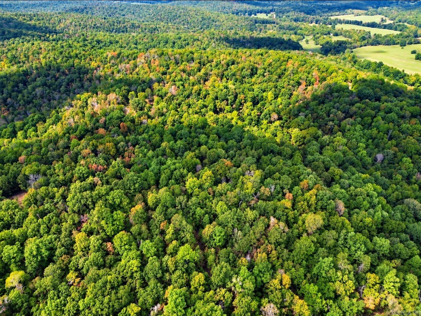 Upper Janes Creek Road Property Photo 6
