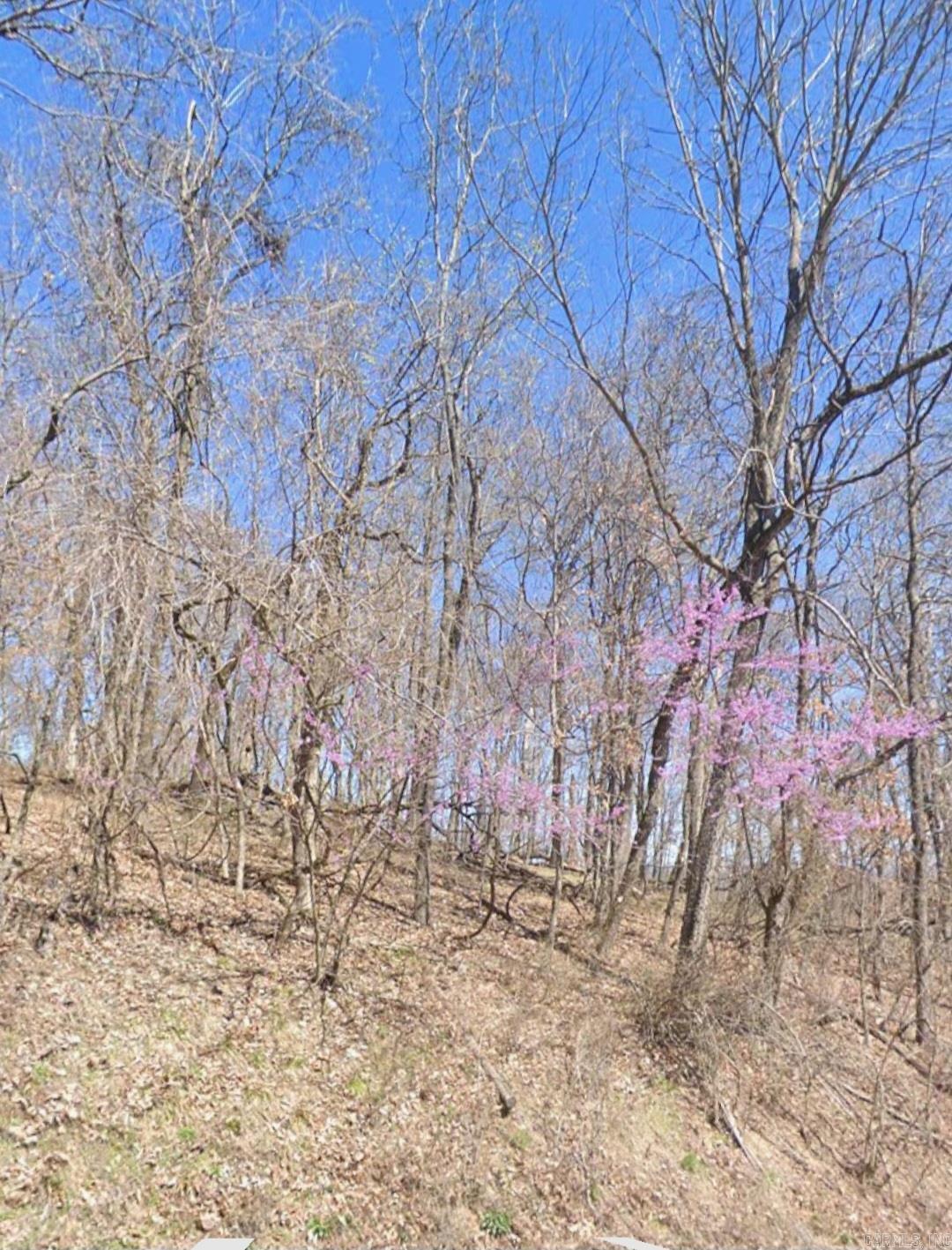 5.16 Acres Summit Drive Property Photo 1