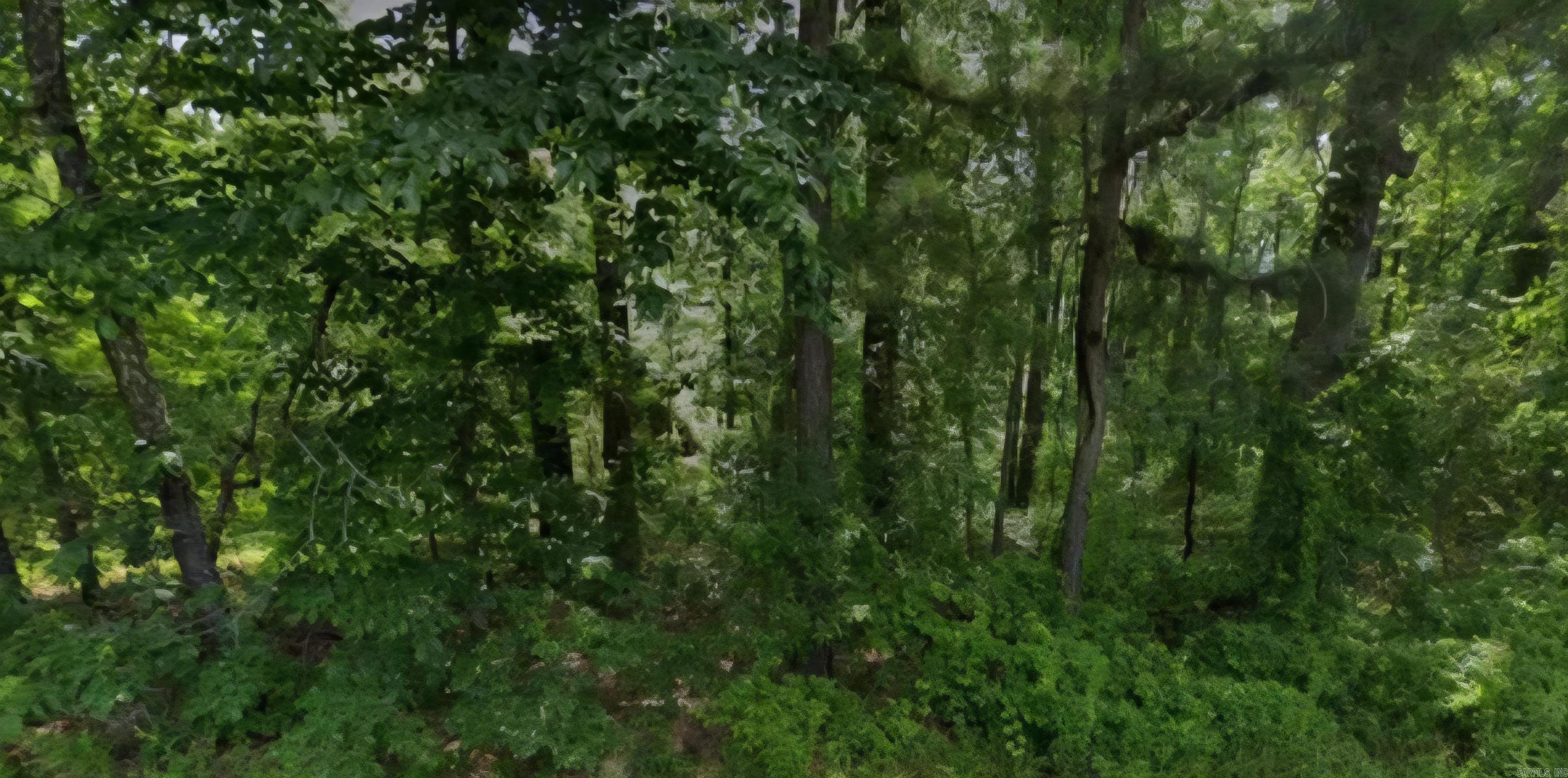 Lot 009 N Norman Street Property Photo 1
