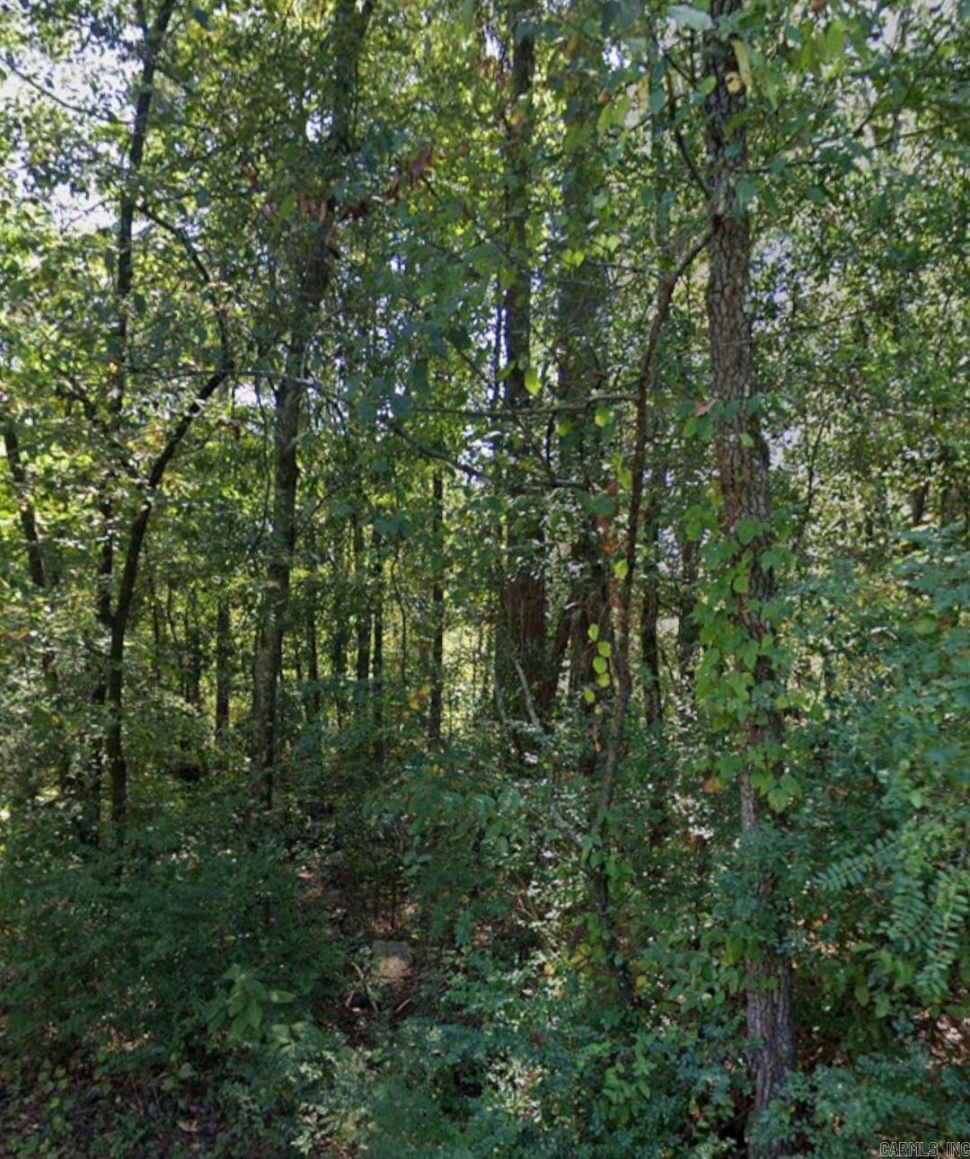 Lot 004 W Webb Avenue Property Photo 1