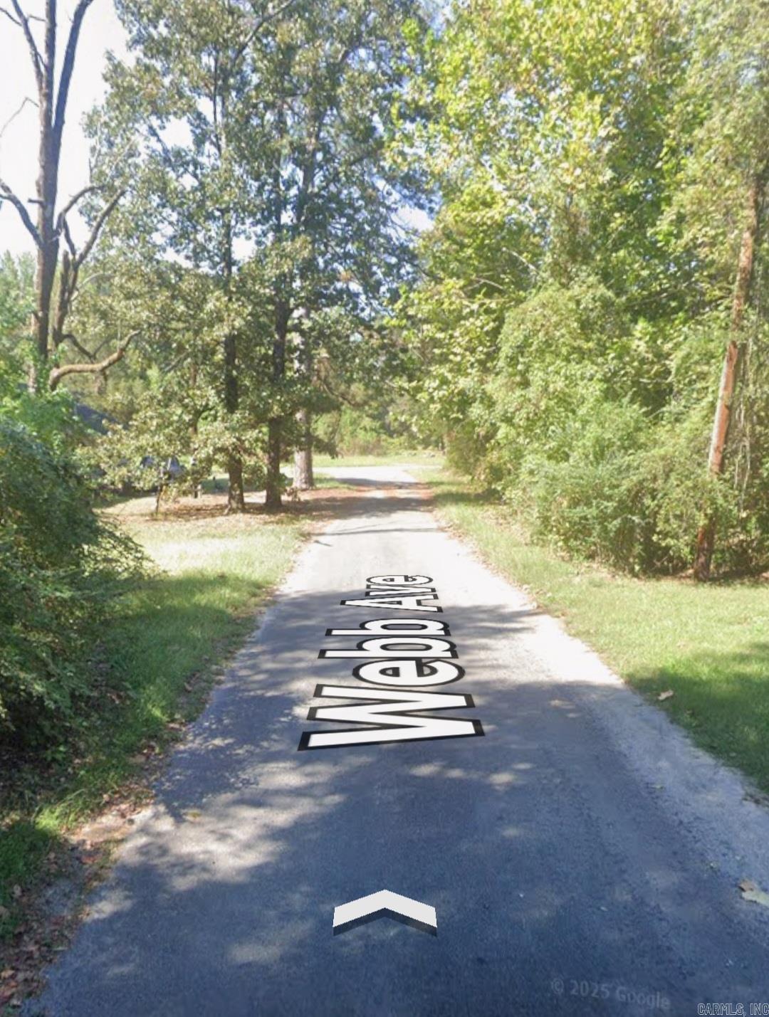 Lot 004 W Webb Avenue Property Photo 2