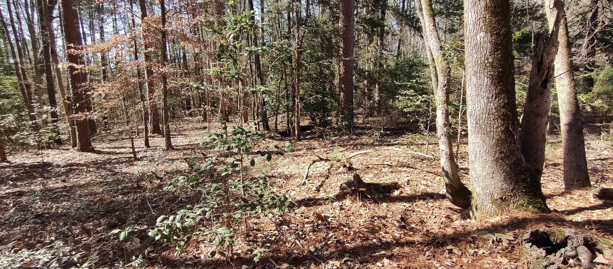 5099 Hwy 278 Property Photo 1