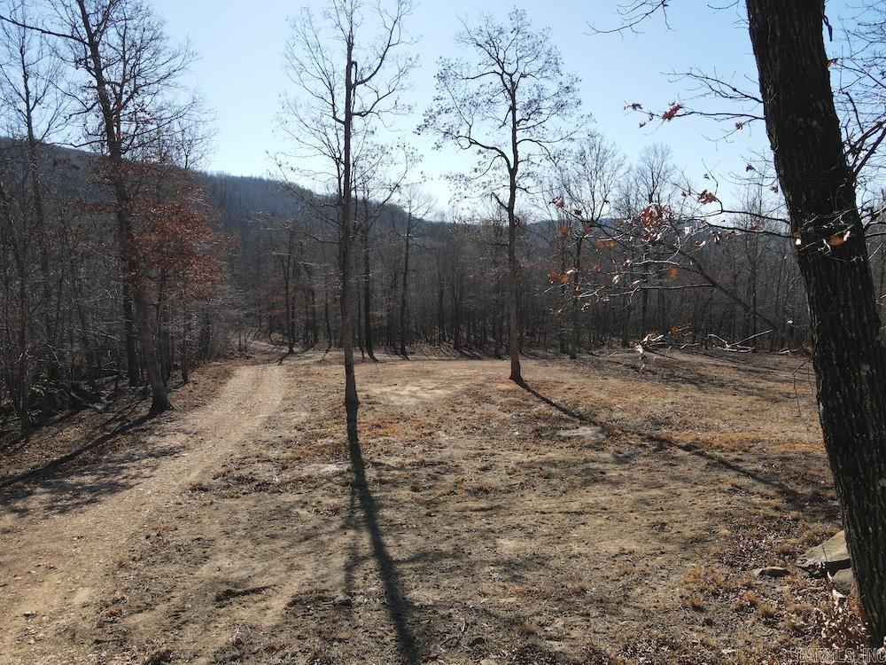 Marsena Rd - West Property Photo 10