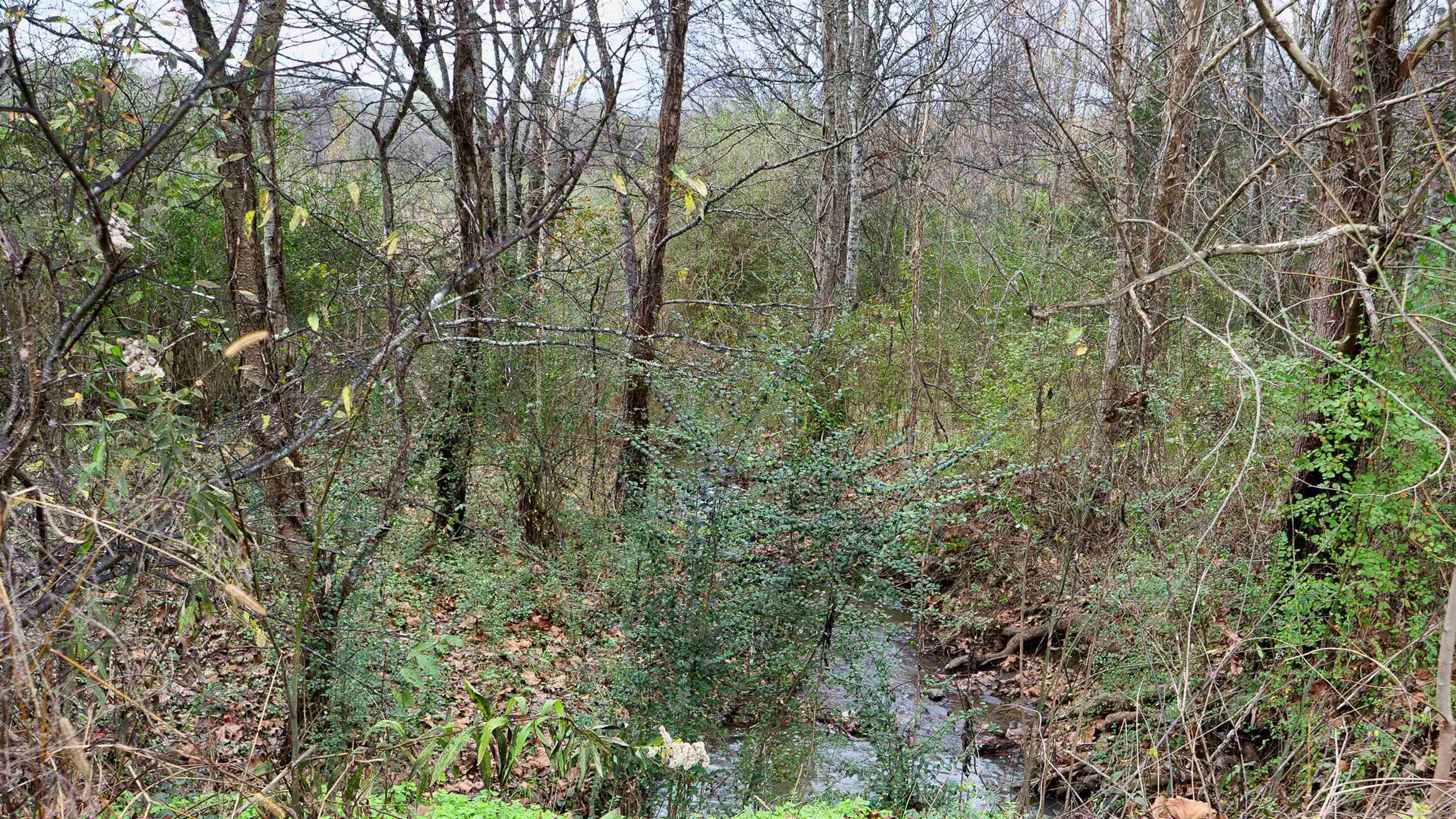 118 Peaceful Place Road Property Photo 2