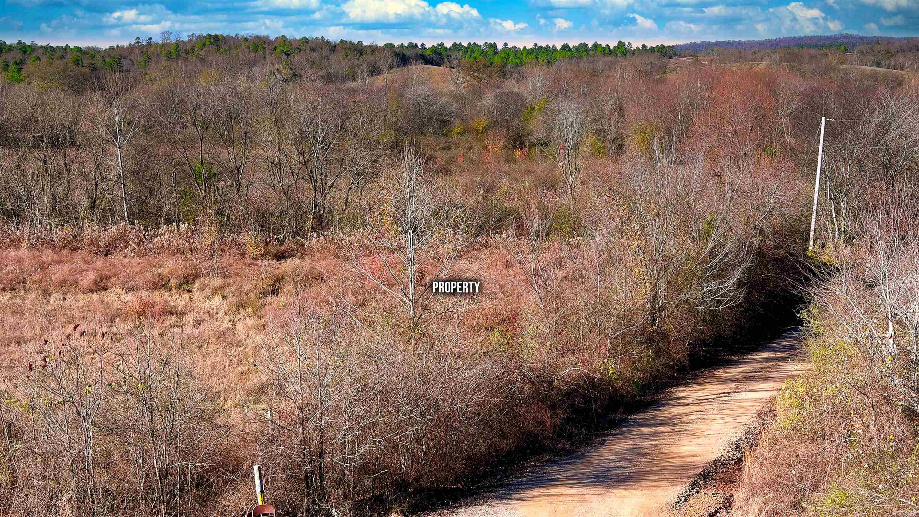 118 Peaceful Place Road Property Photo 16