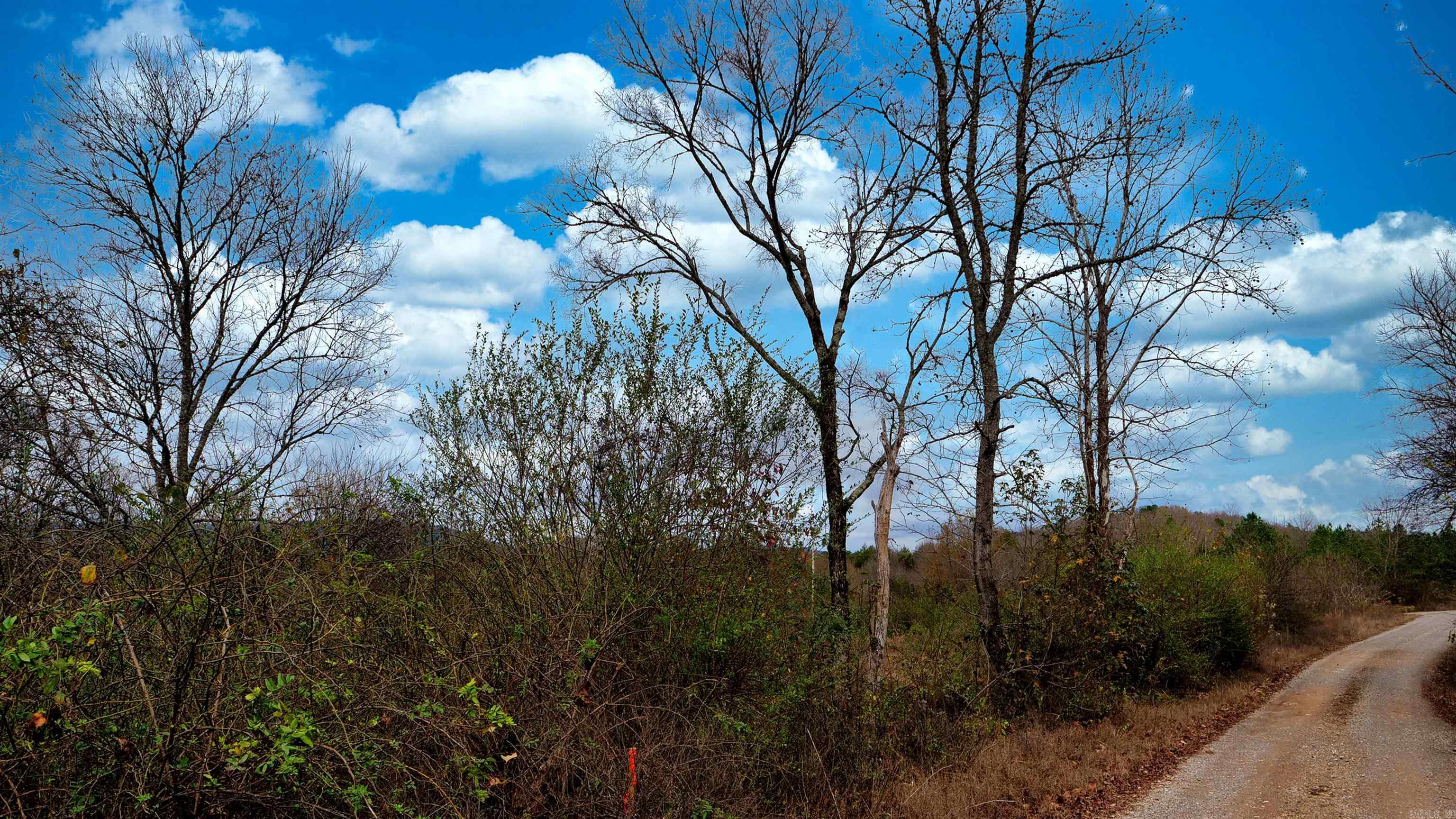 118 Peaceful Place Road Property Photo 20