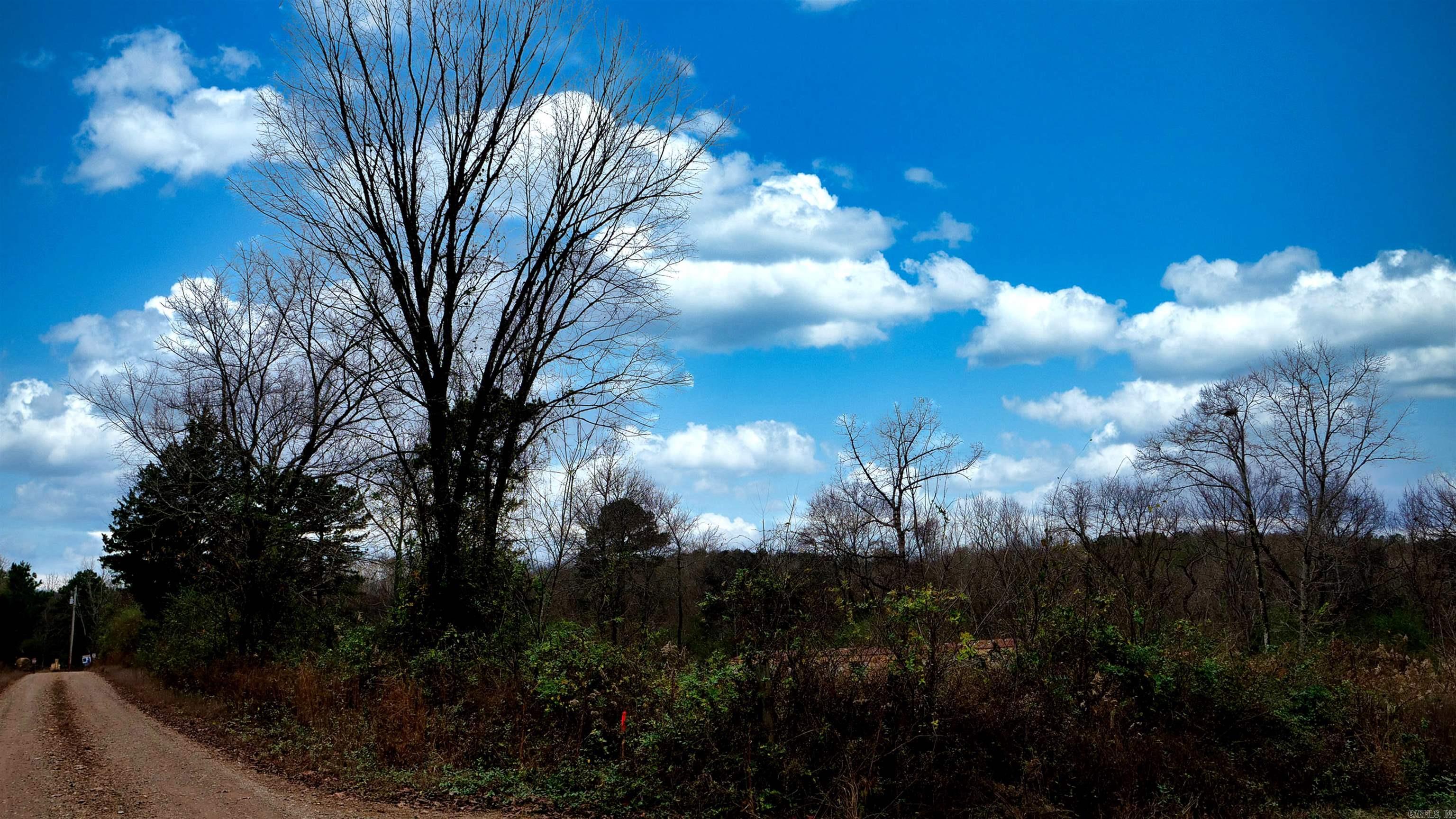 118 Peaceful Place Road Property Photo 21