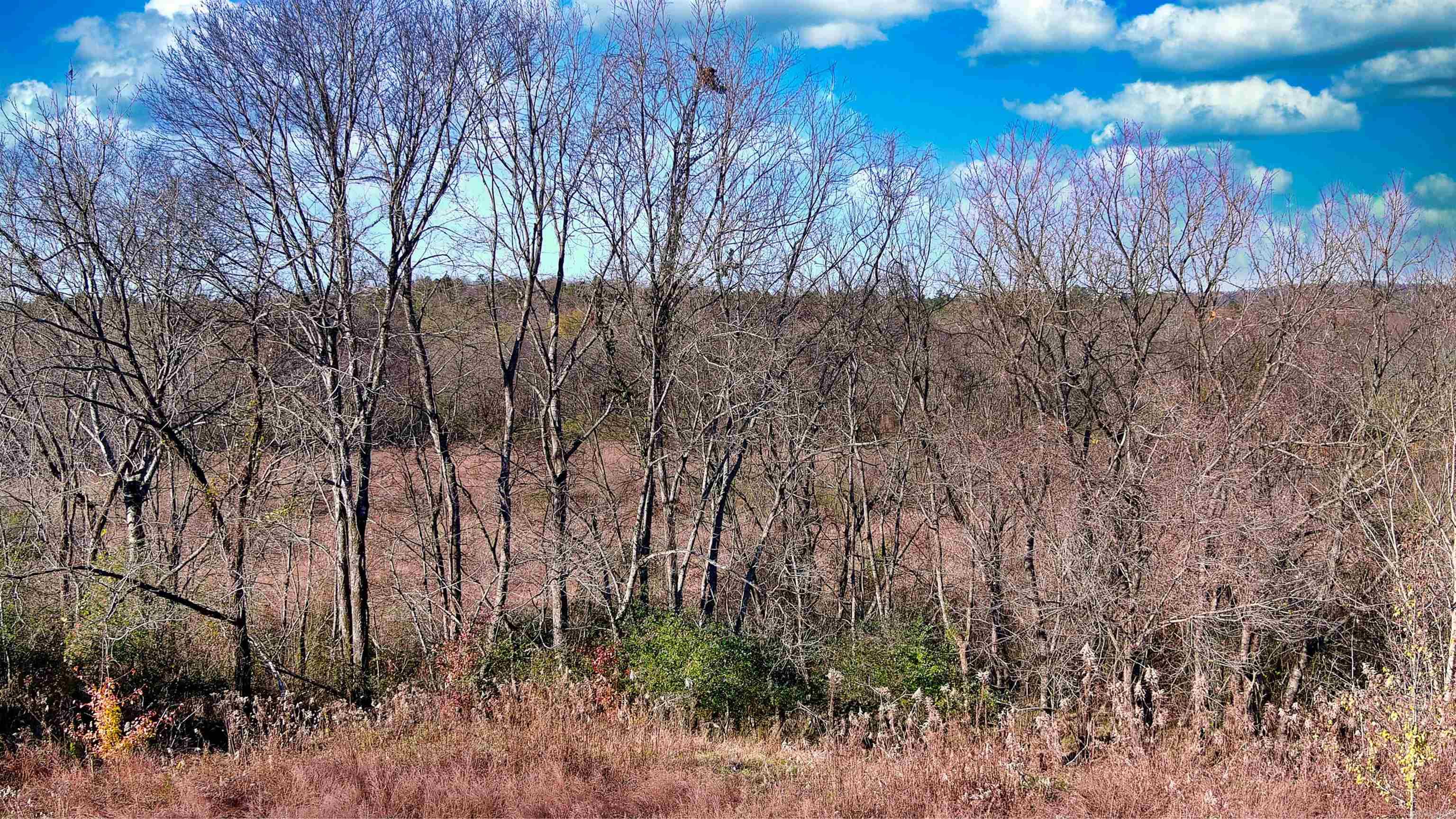 118 Peaceful Place Road Property Photo 29