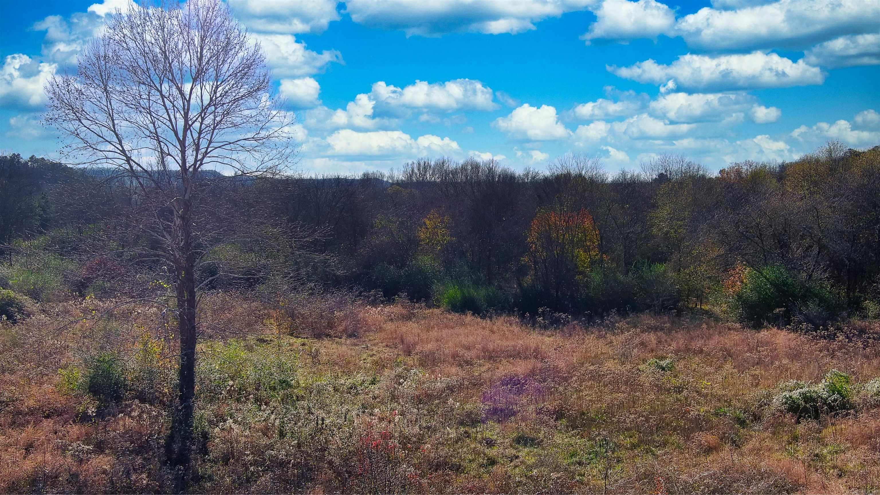 118 Peaceful Place Road Property Photo 31
