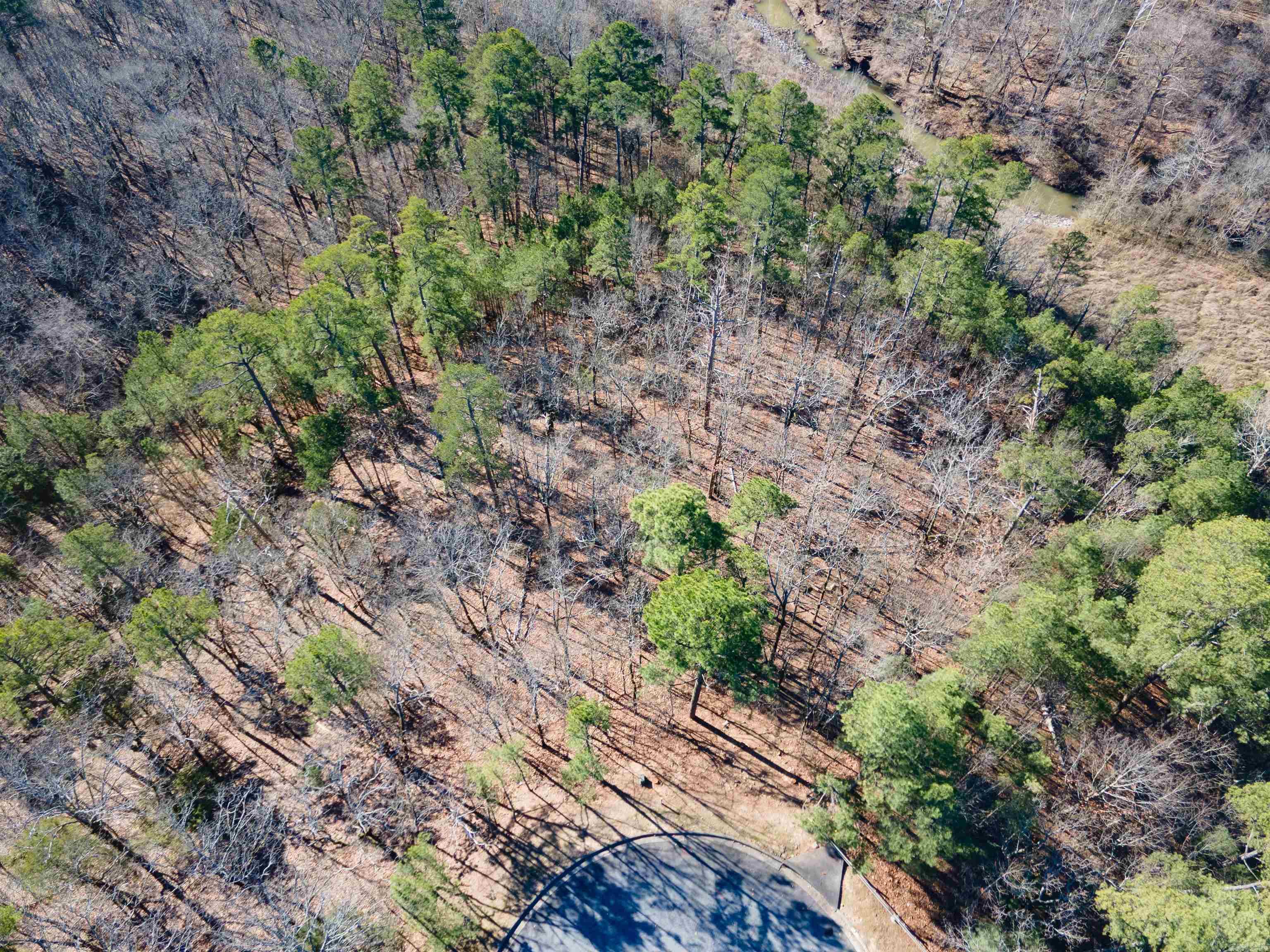 Rivermist Pt Property Photo 2