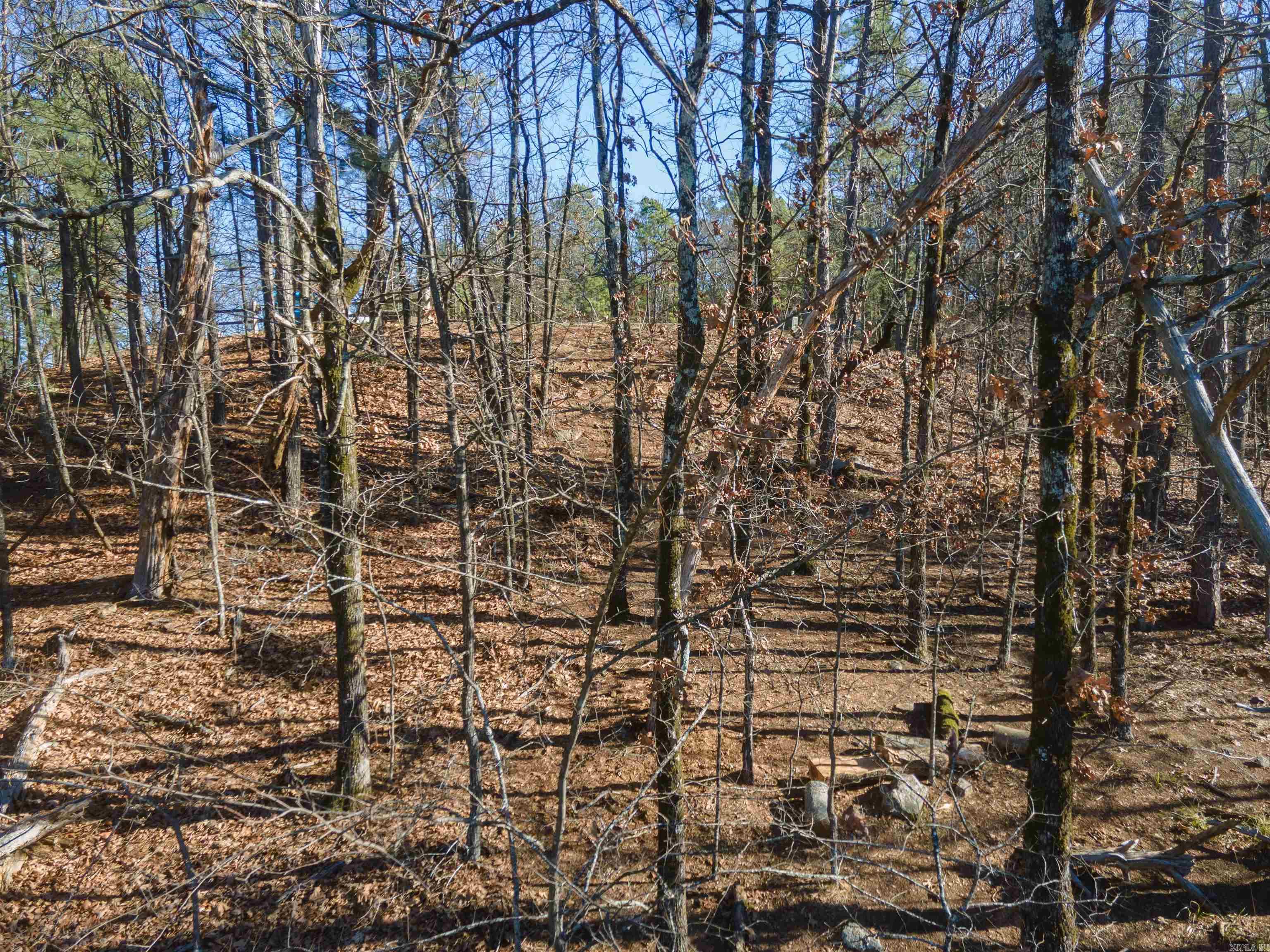 Rivermist Pt Property Photo 9