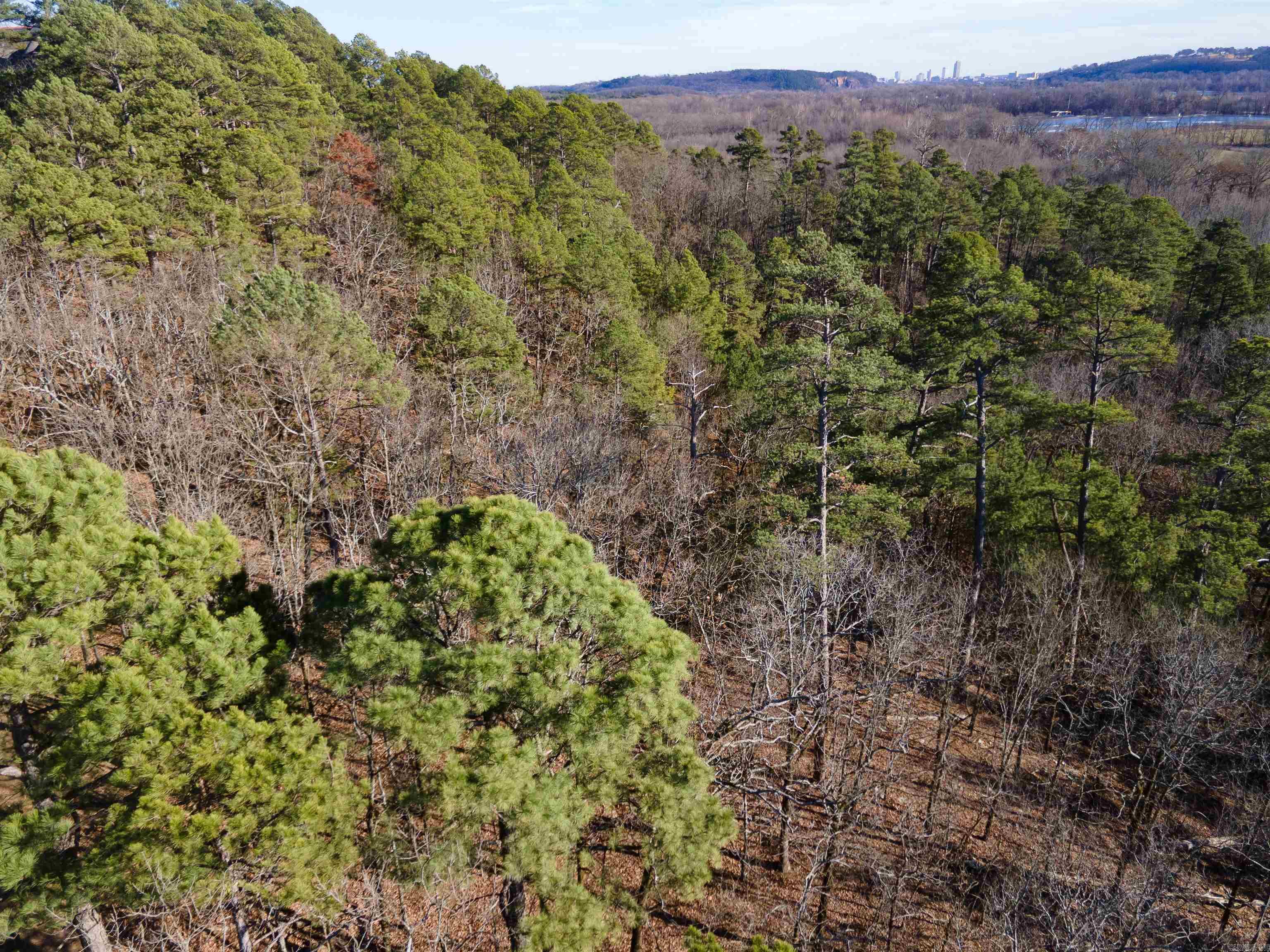 Rivermist Pt Property Photo 11