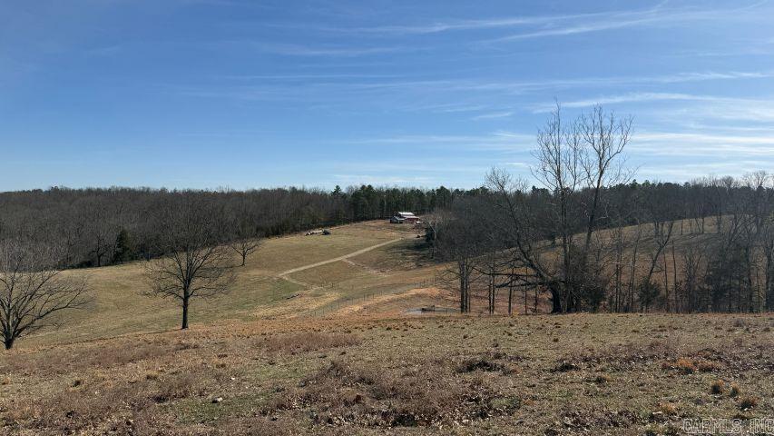 200 Searcy Co. 423 Property Photo 46