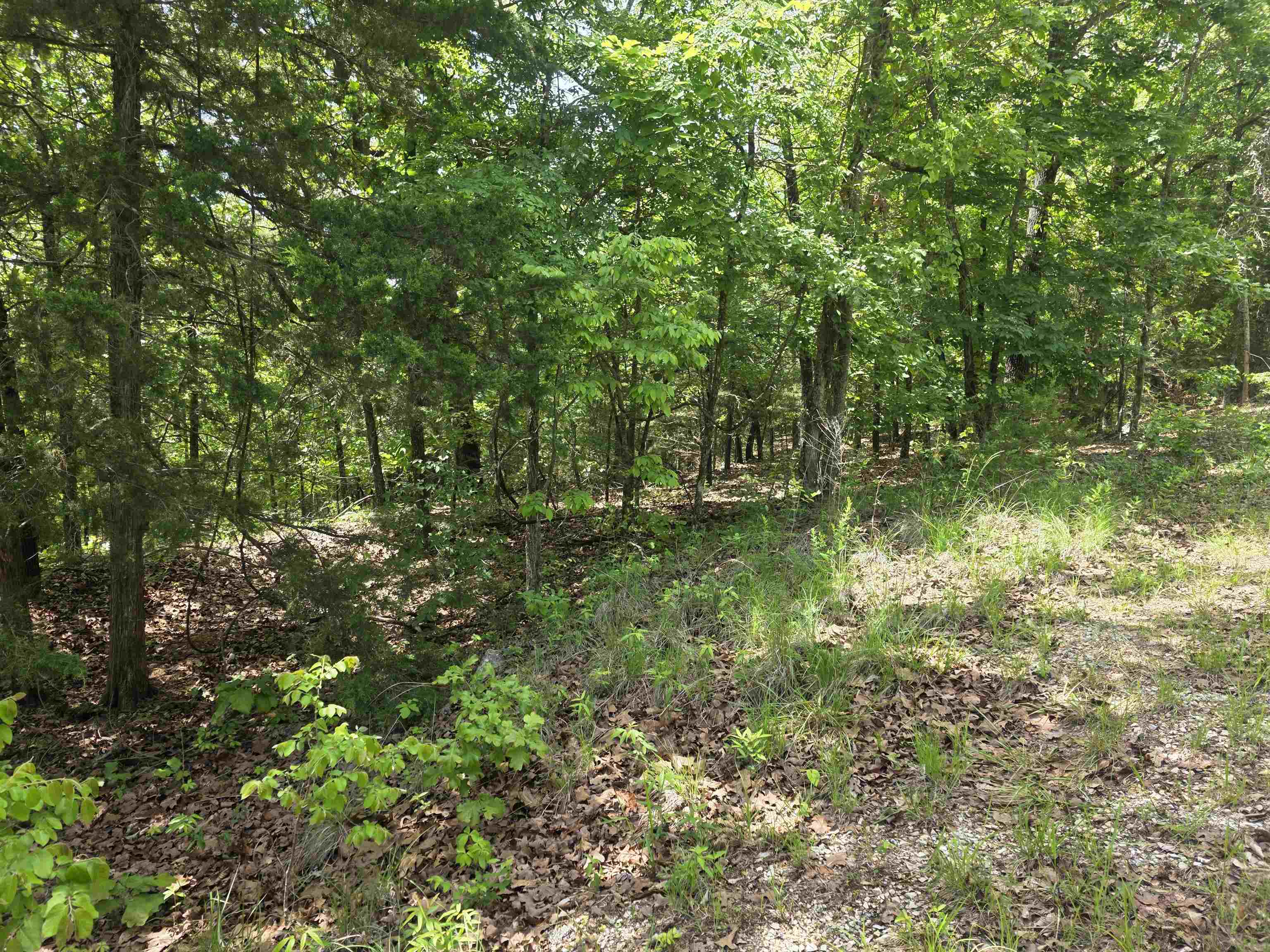 L-39, B-4 Topez Drive Property Photo 1