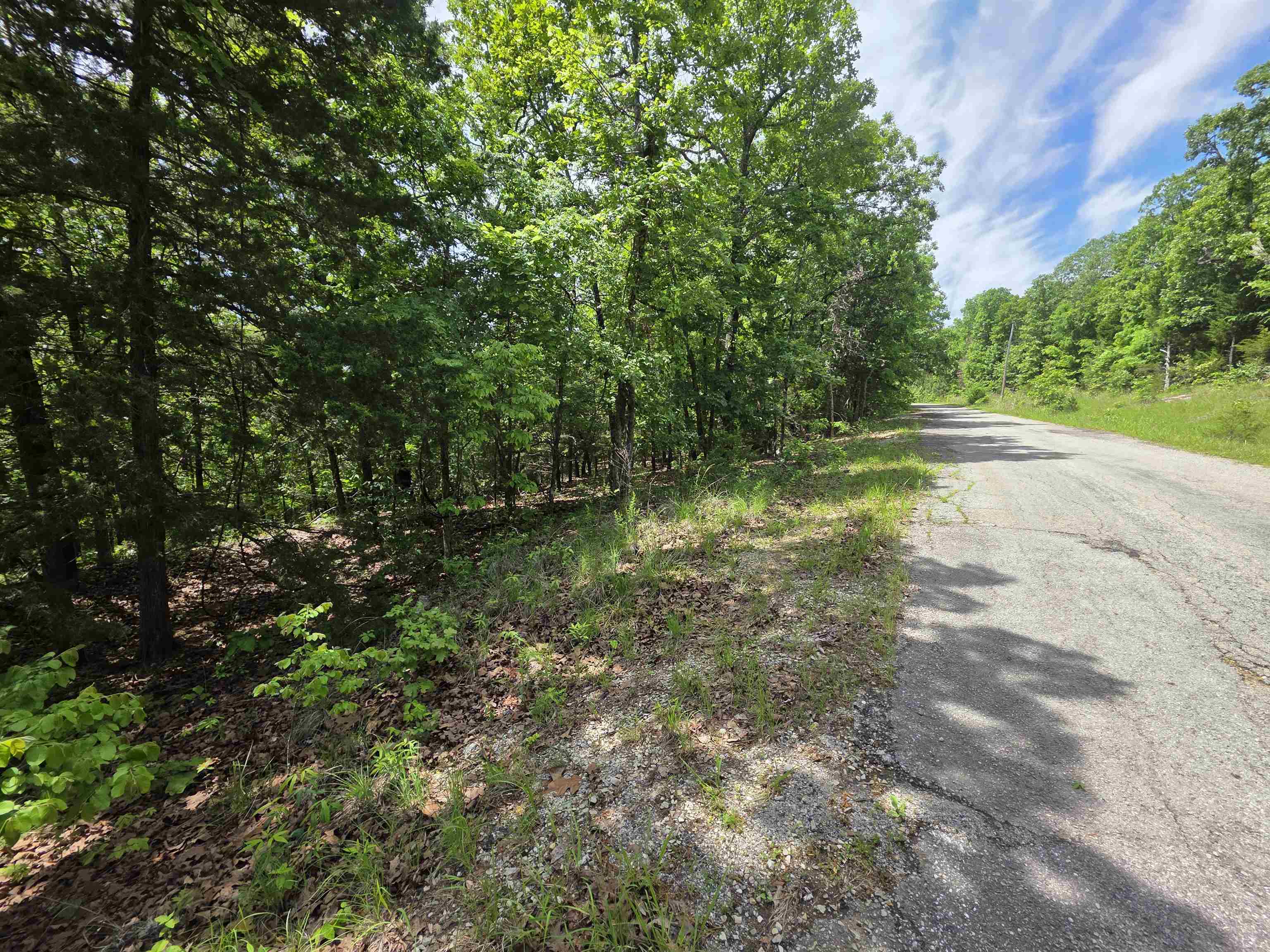 L-39, B-4 Topez Drive Property Photo 2