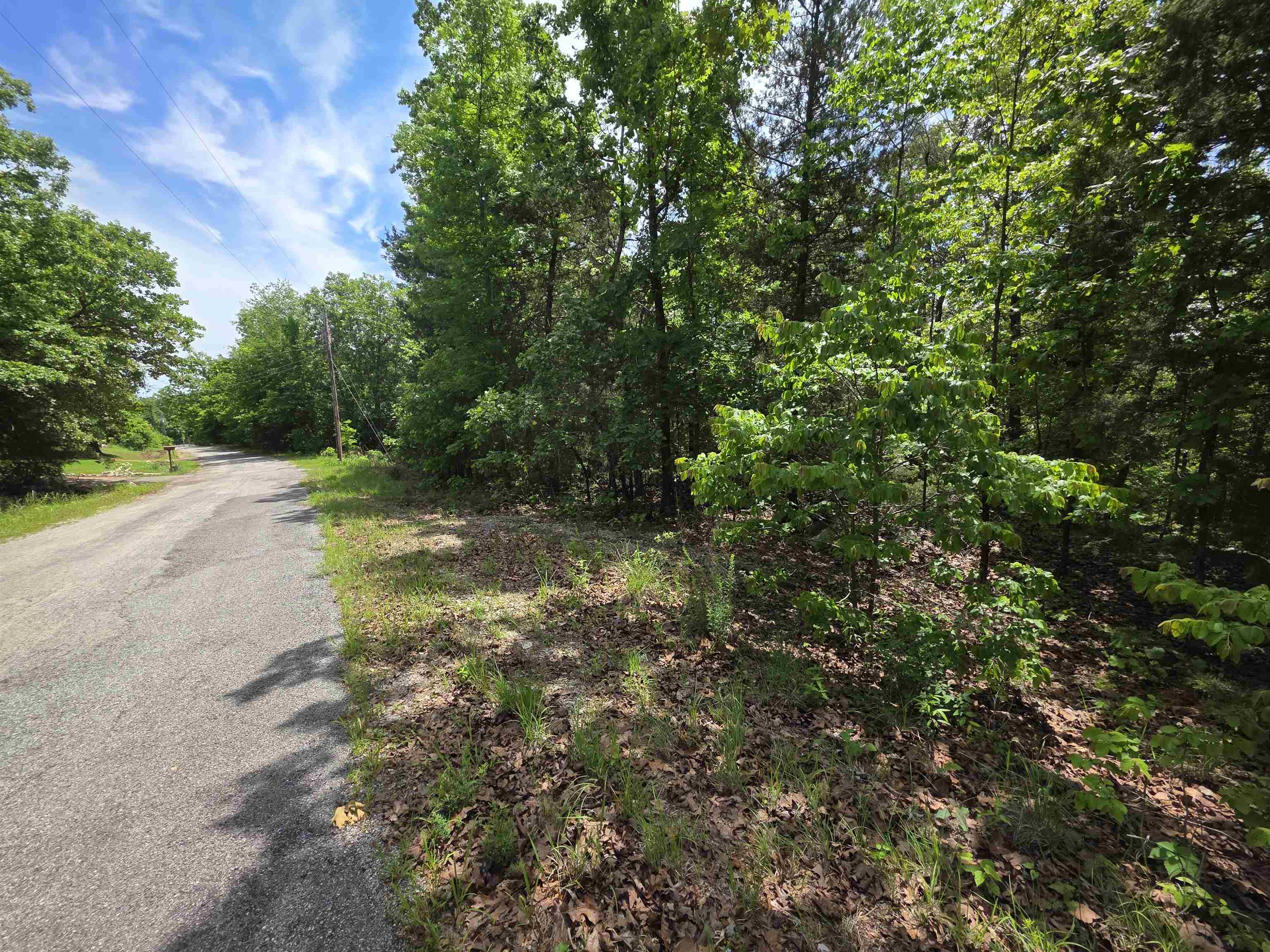 L-39, B-4 Topez Drive Property Photo 3