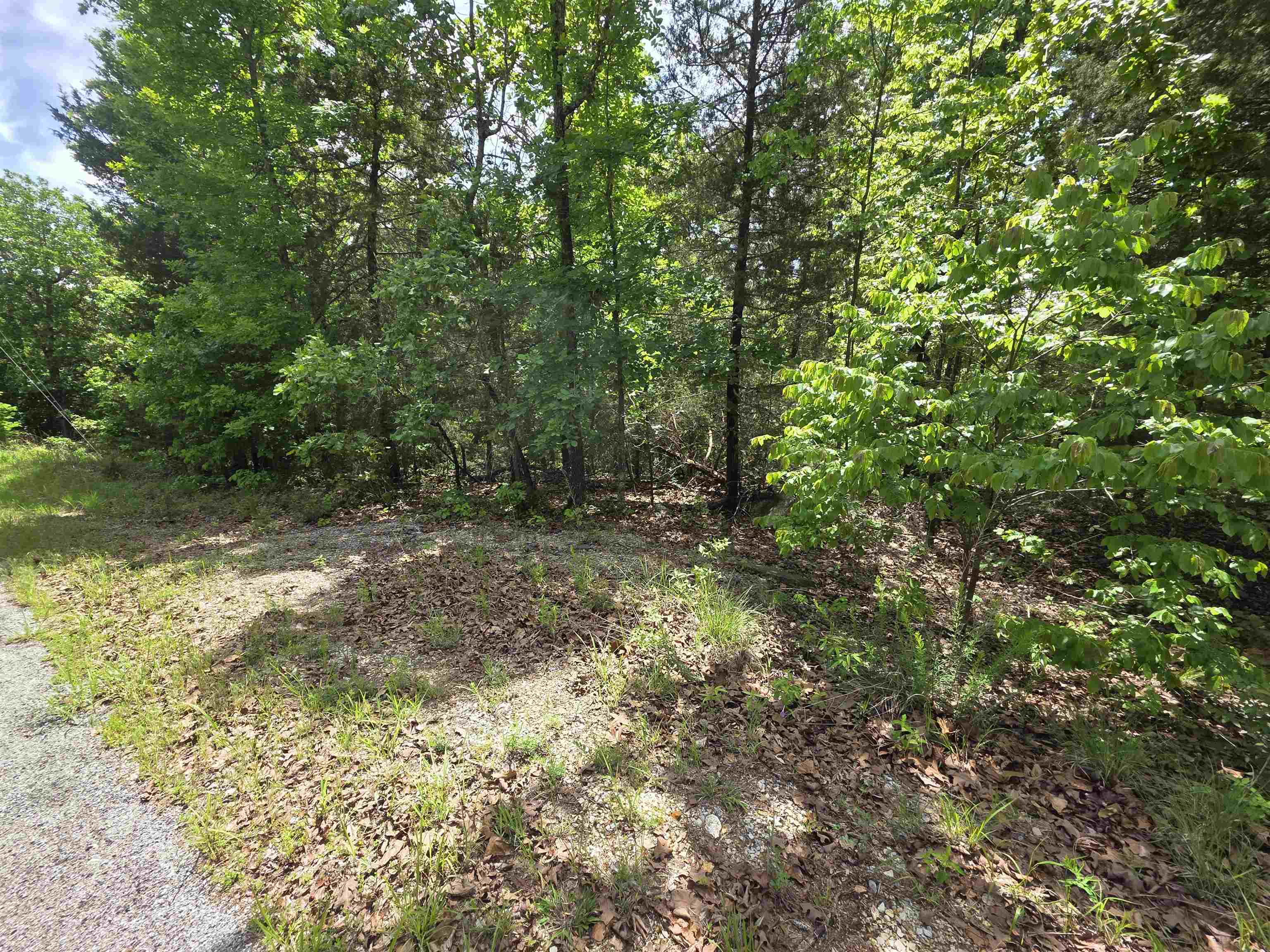 L-39, B-4 Topez Drive Property Photo 4