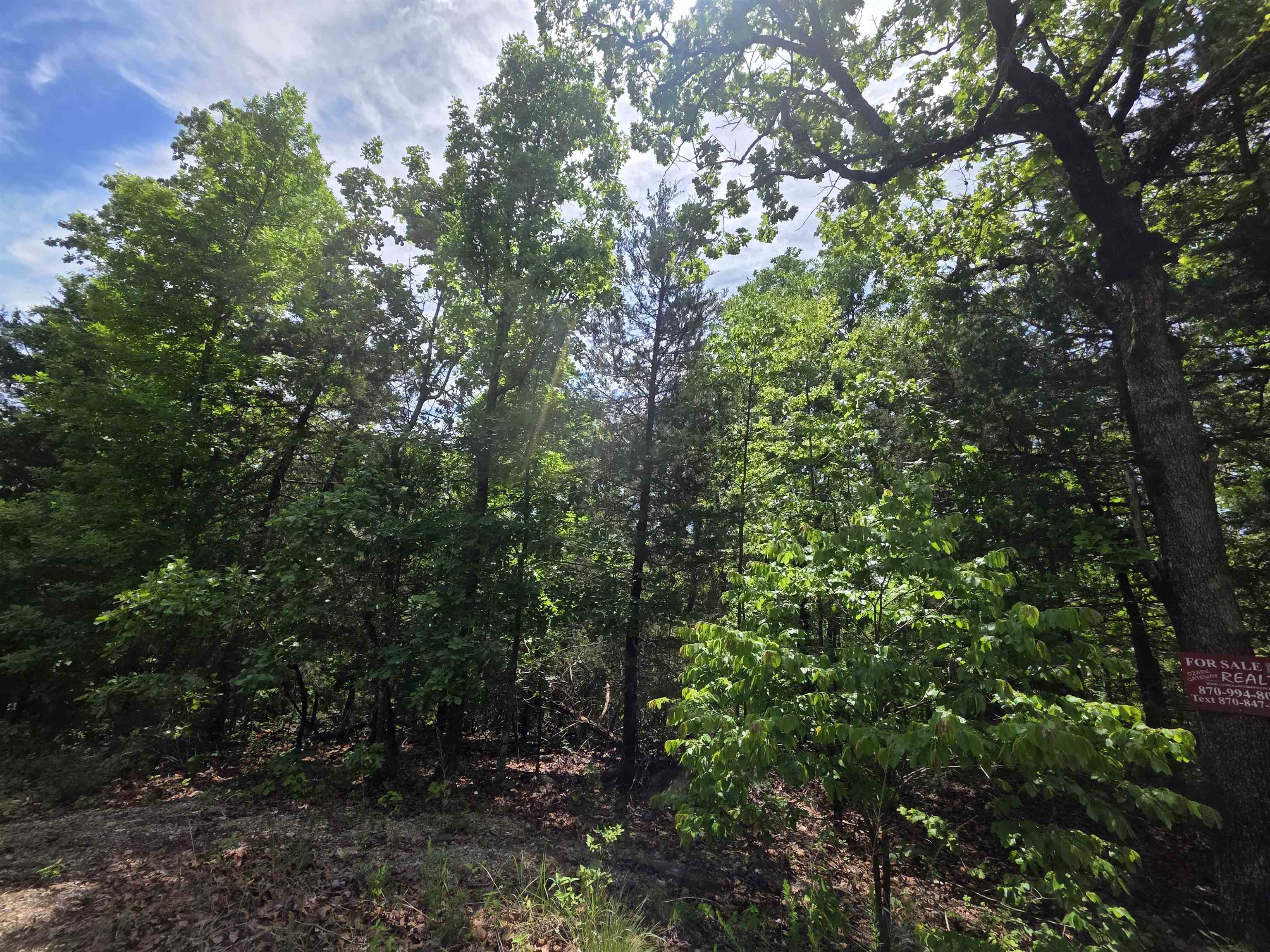 L-39, B-4 Topez Drive Property Photo 5