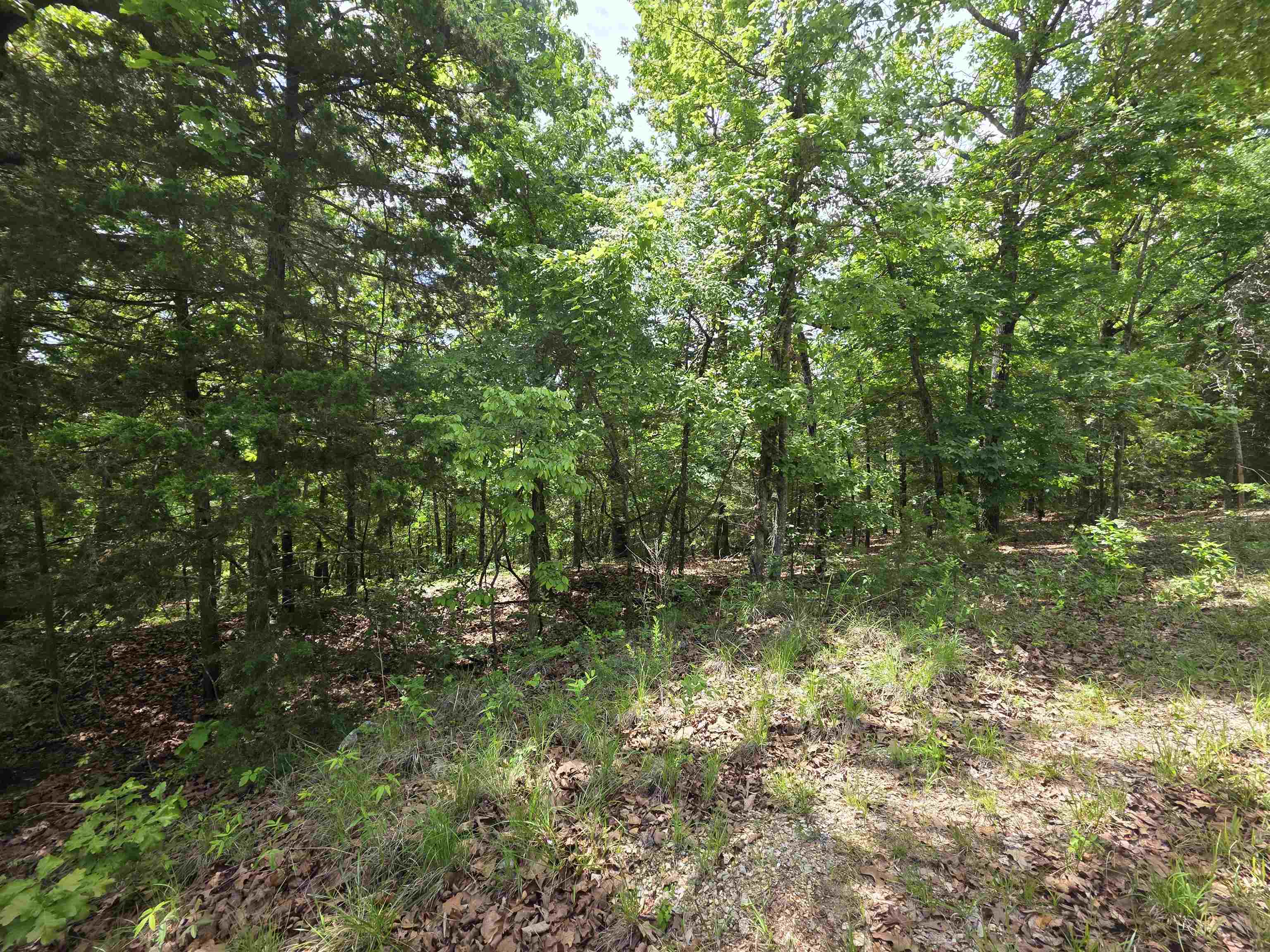 L-39, B-4 Topez Drive Property Photo 6