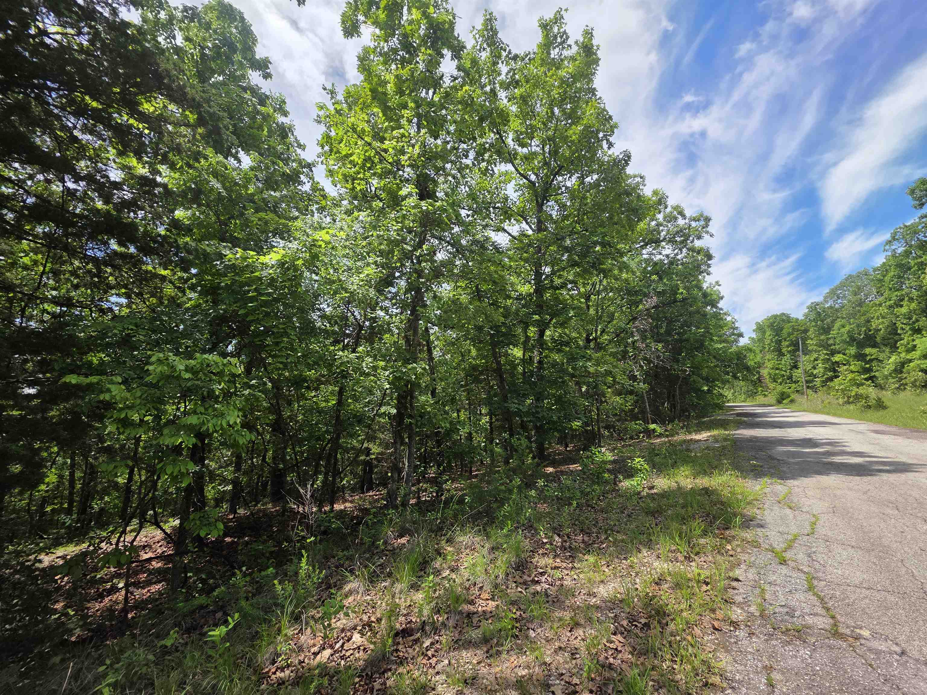 L-39, B-4 Topez Drive Property Photo 8