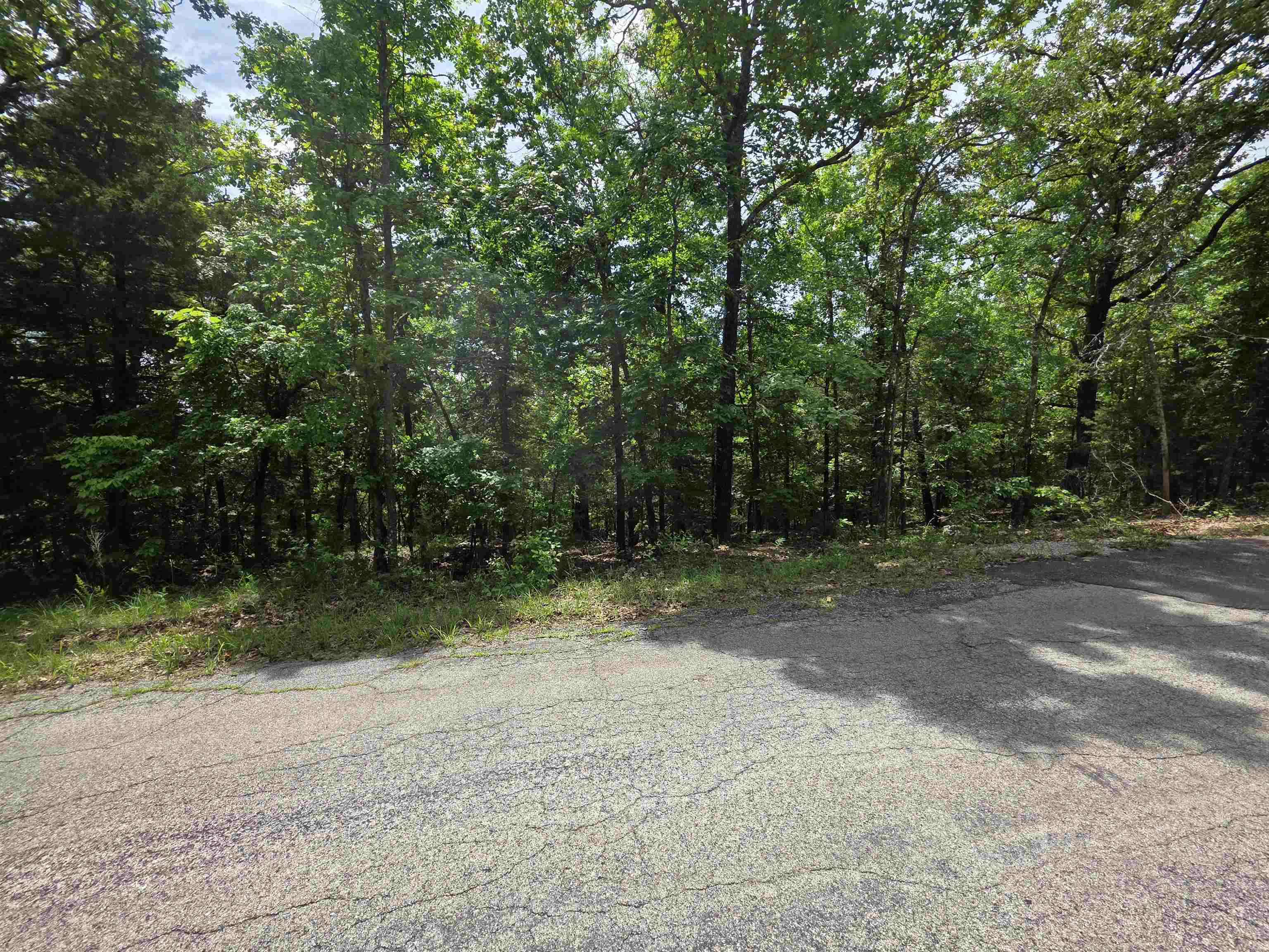 L-39, B-4 Topez Drive Property Photo 9