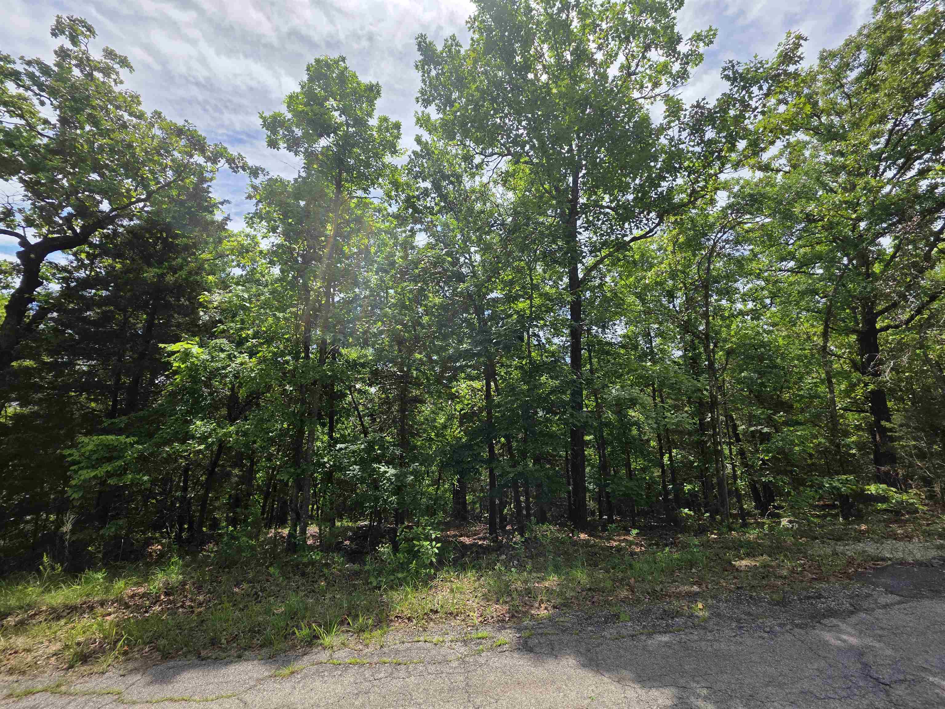 L-39, B-4 Topez Drive Property Photo 10