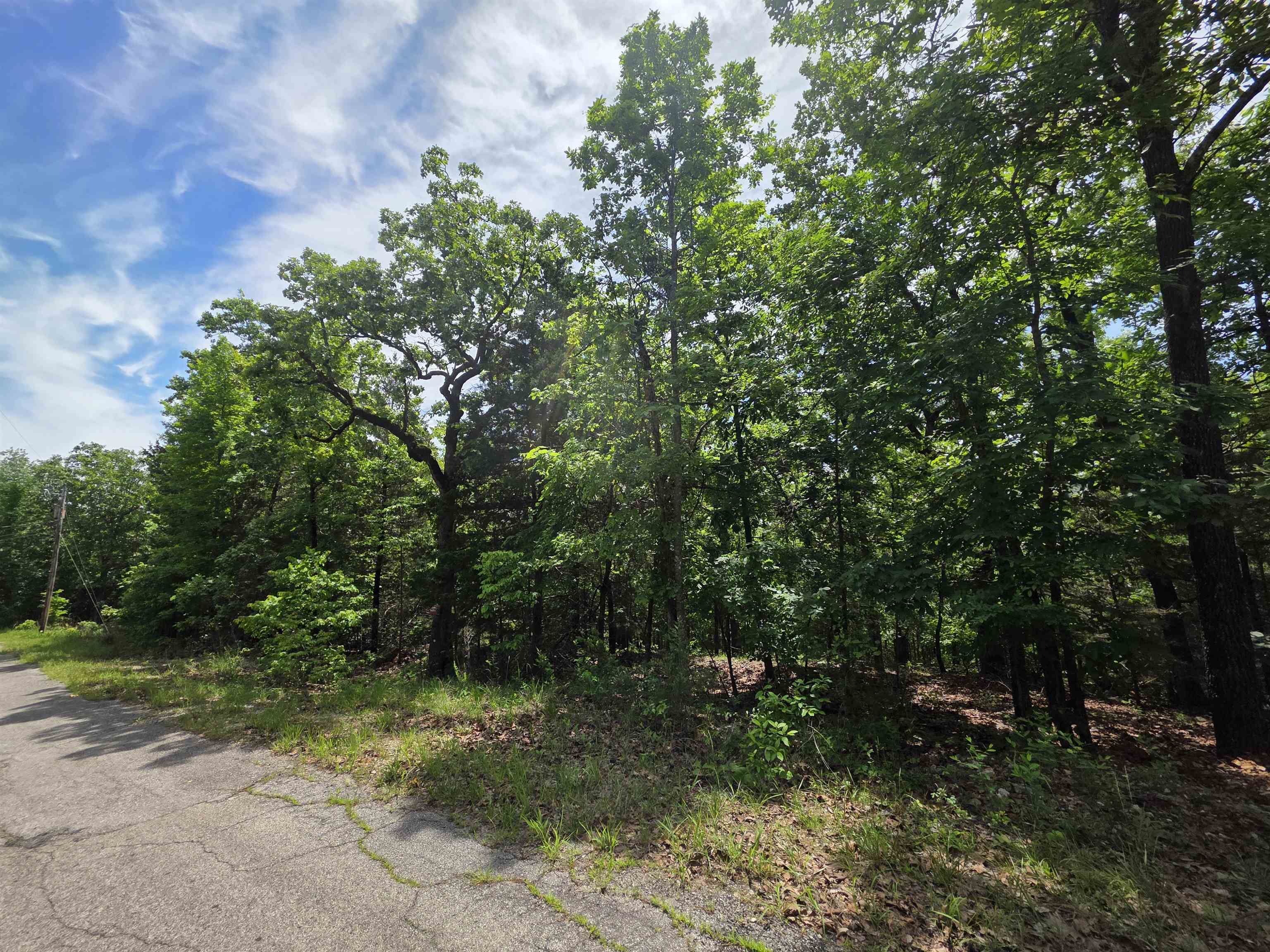 L-39, B-4 Topez Drive Property Photo 11