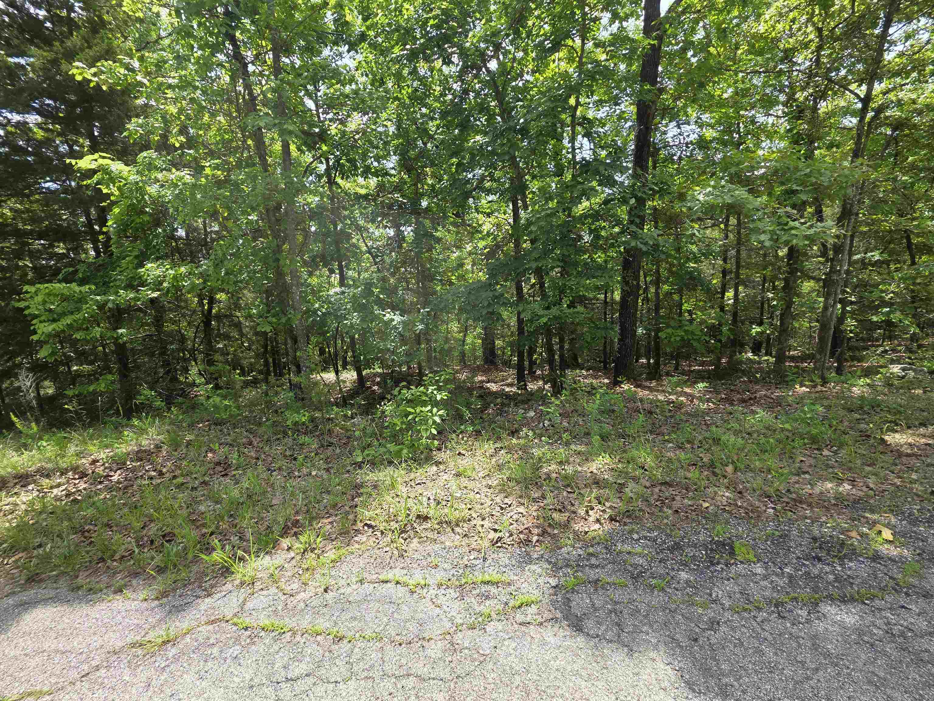 L-39, B-4 Topez Drive Property Photo 12