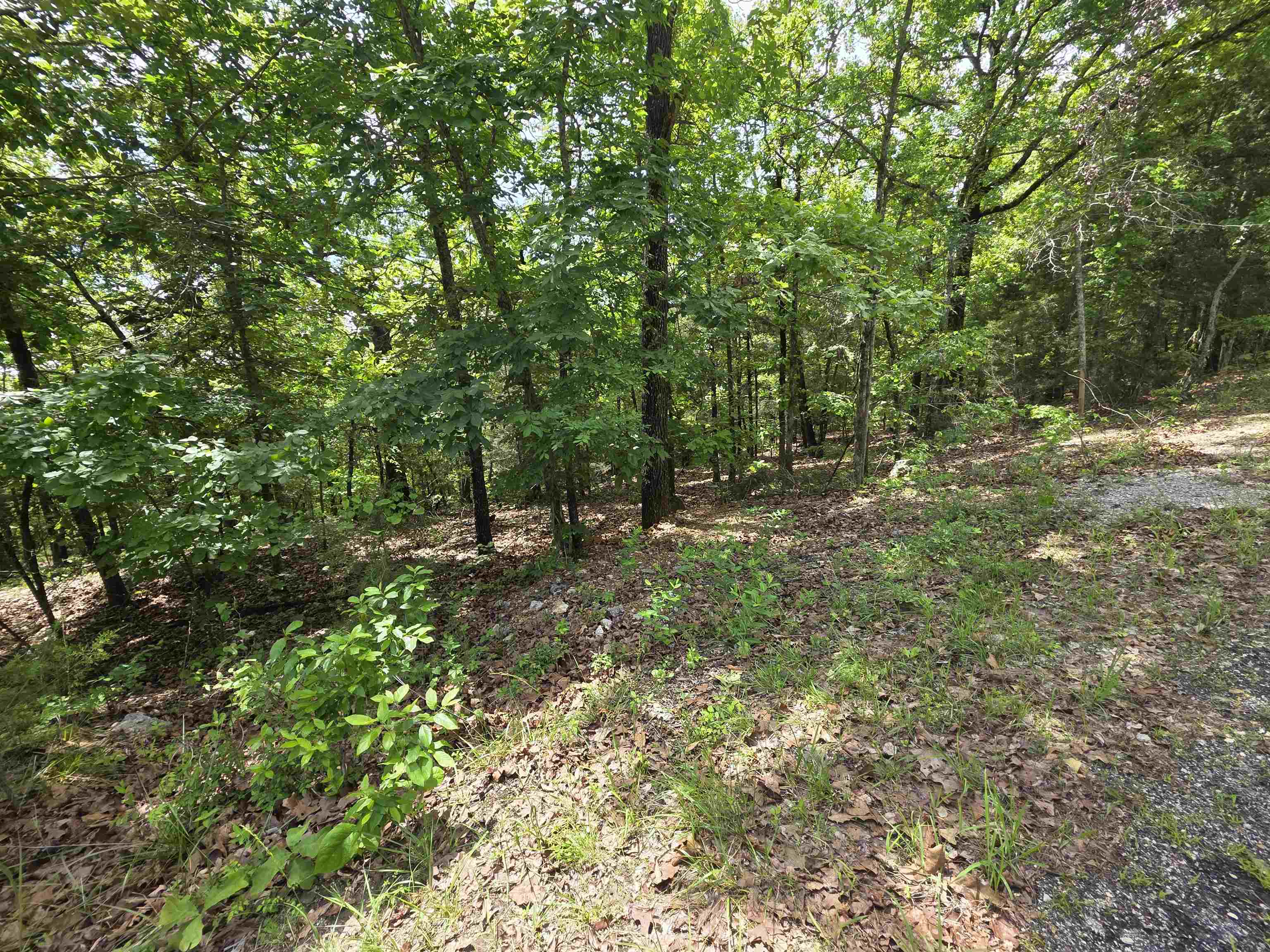 L-39, B-4 Topez Drive Property Photo 13