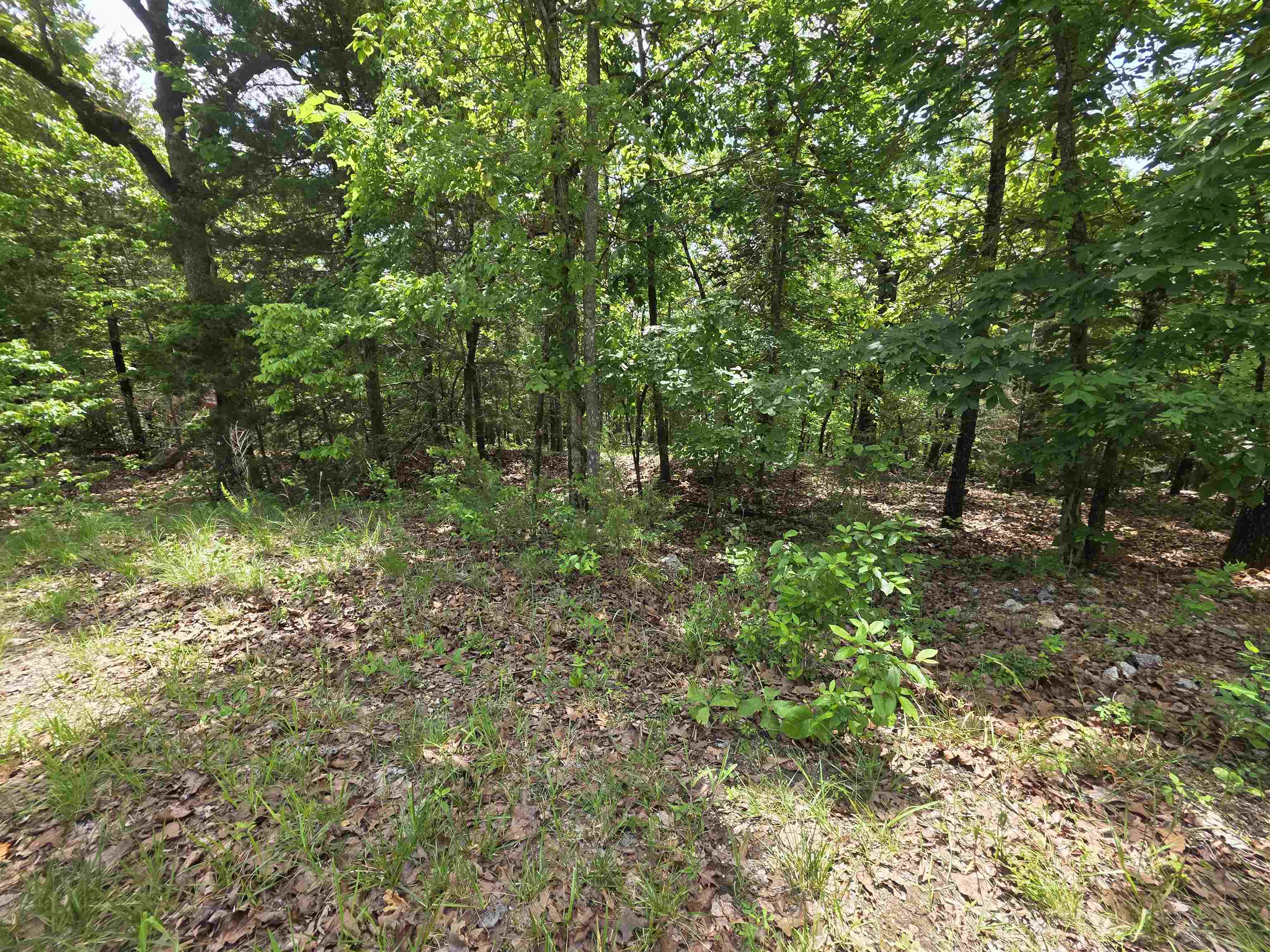 L-39, B-4 Topez Drive Property Photo 14