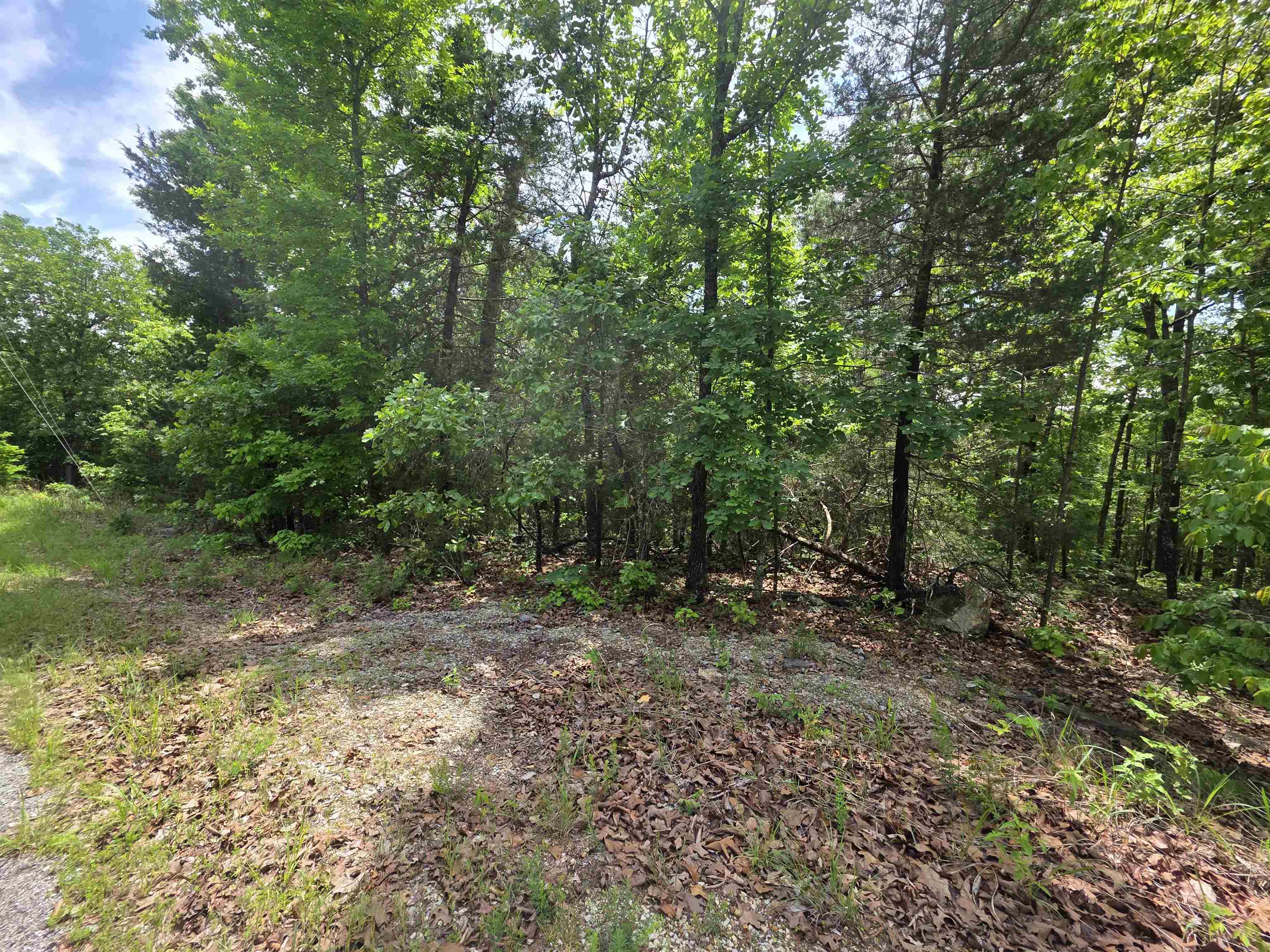 L-39, B-4 Topez Drive Property Photo 15