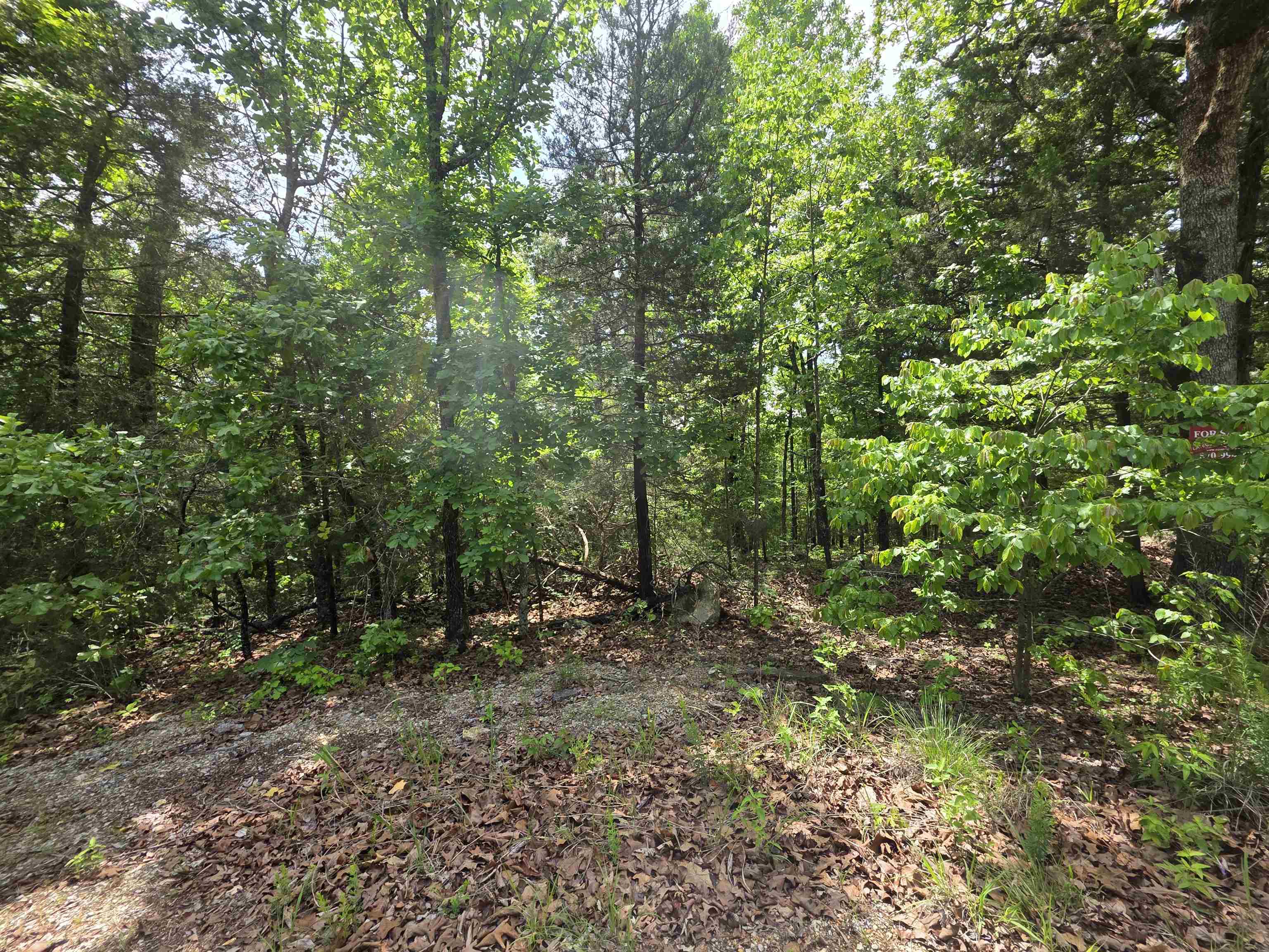 L-39, B-4 Topez Drive Property Photo 16