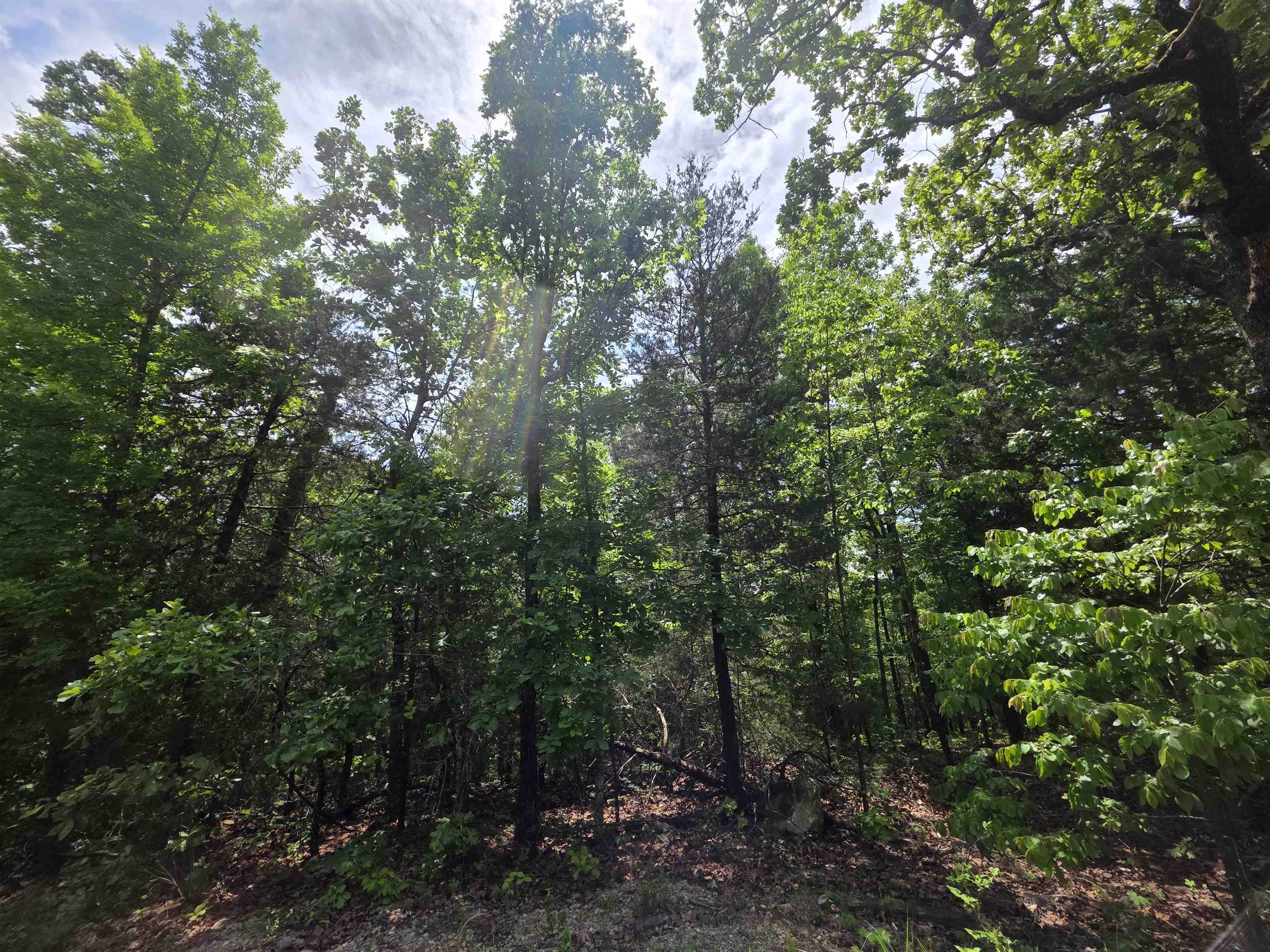 L-39, B-4 Topez Drive Property Photo 17