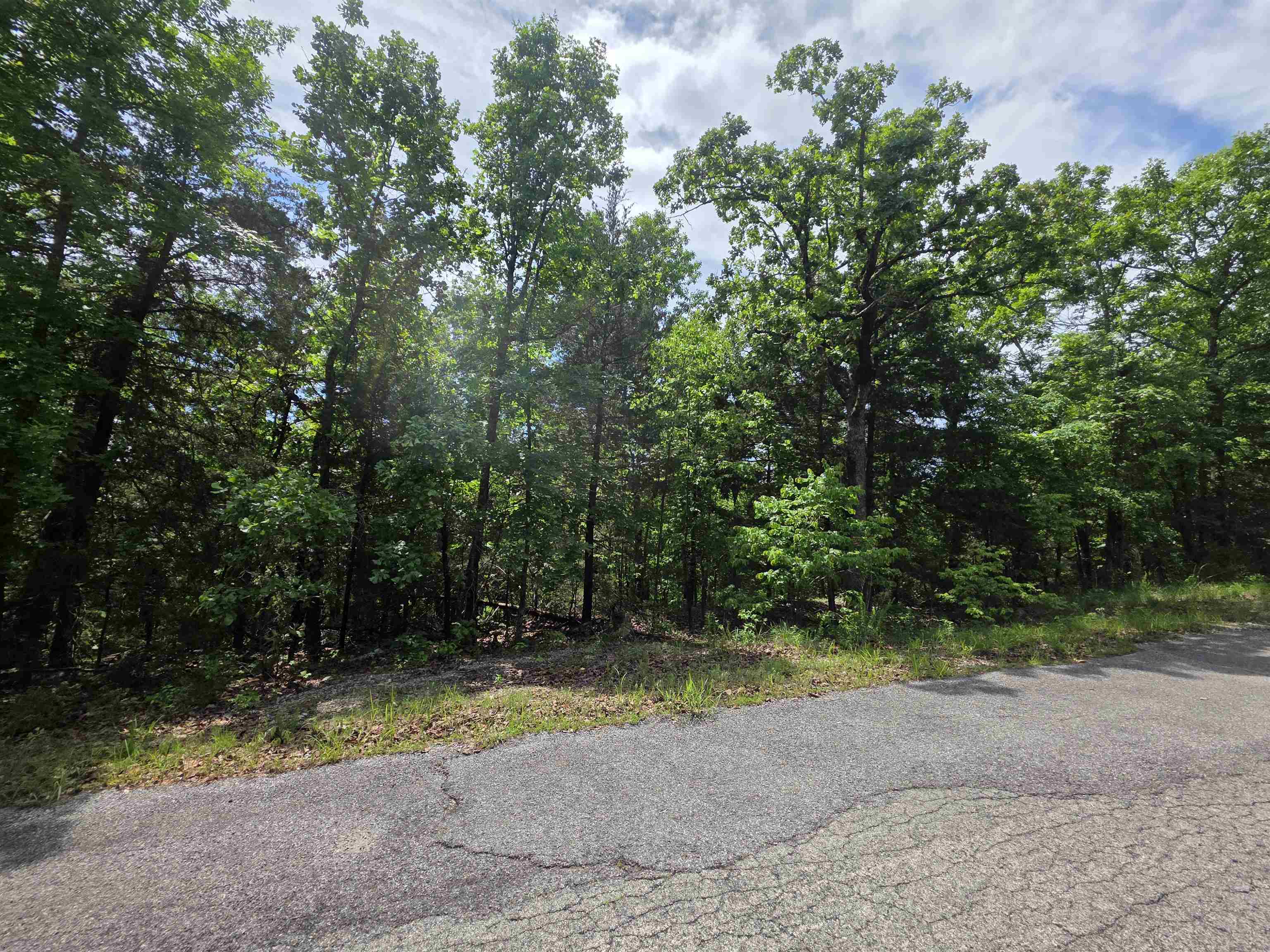 L-39, B-4 Topez Drive Property Photo 18