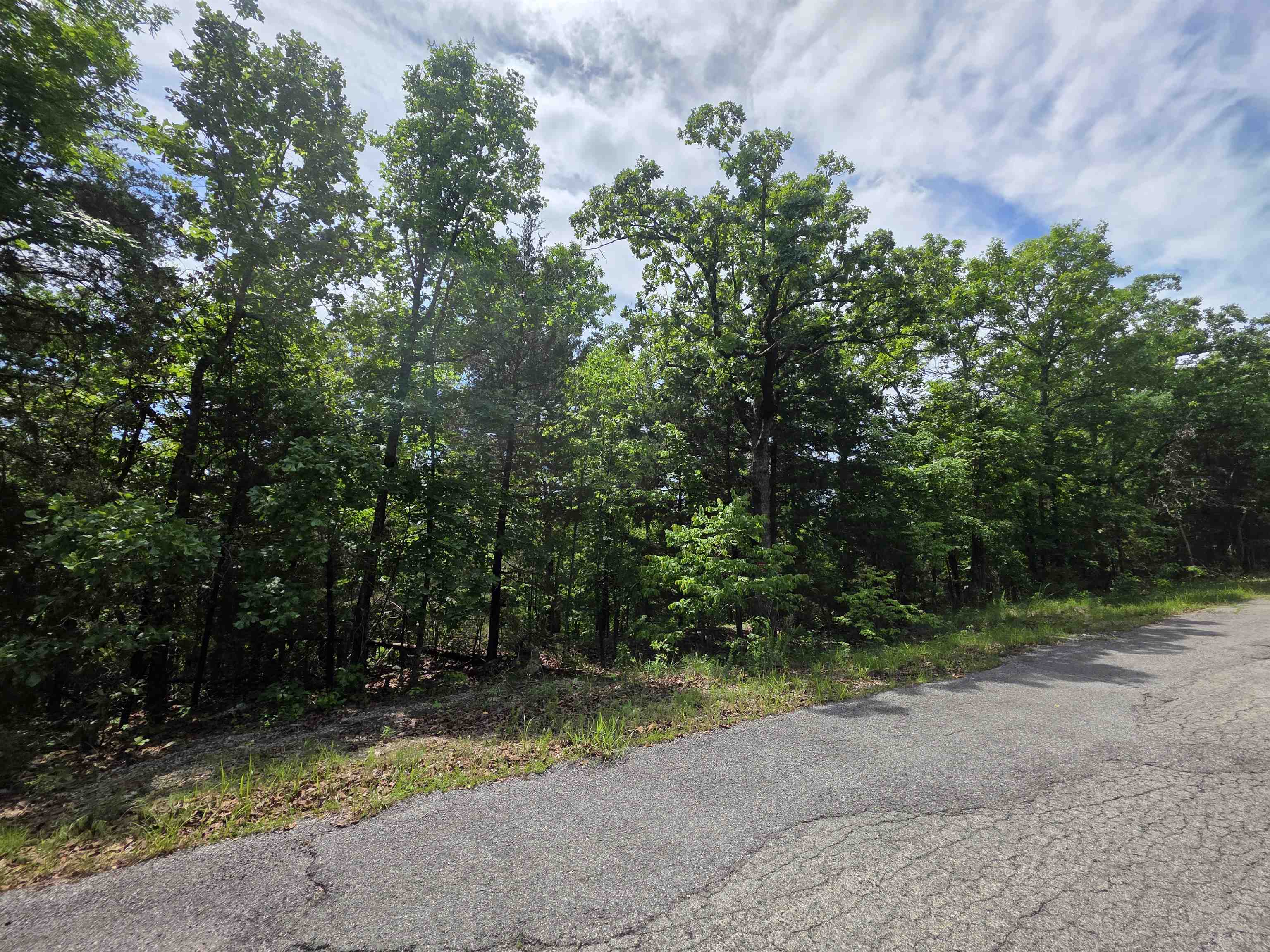 L-39, B-4 Topez Drive Property Photo 19