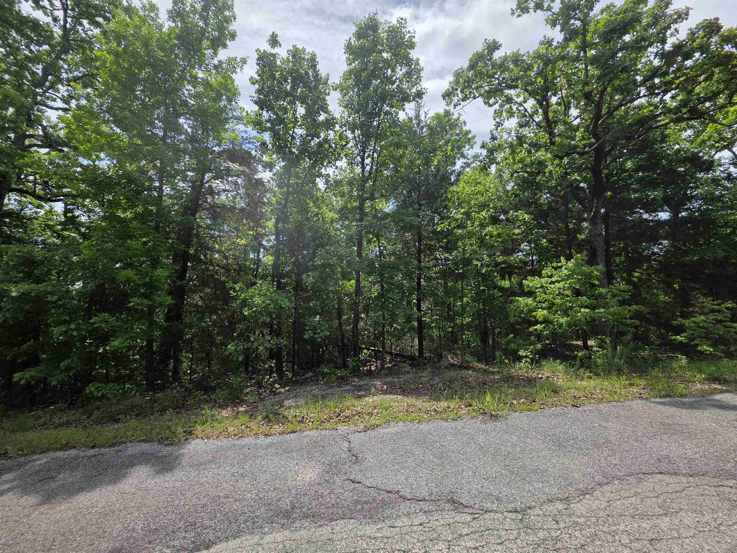 L-39, B-4 Topez Drive Property Photo 20