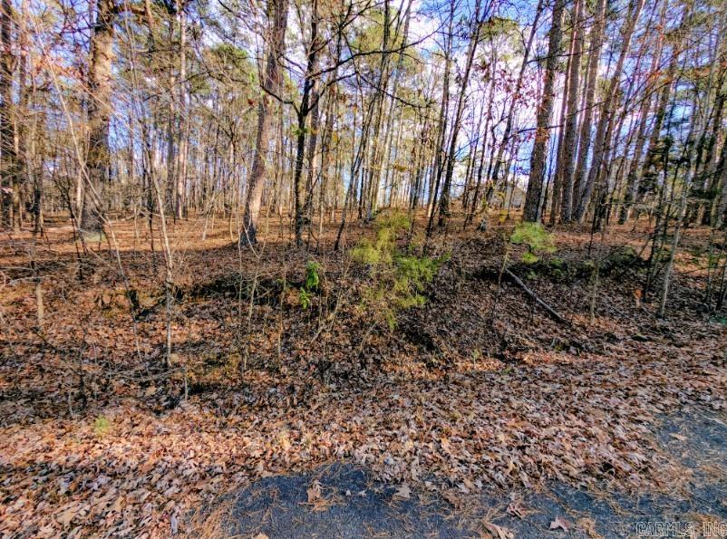 Tbd Astorga Circle Property Photo 4