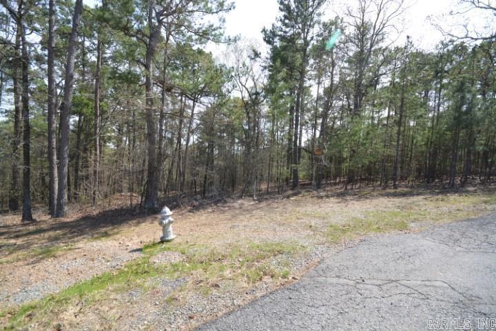 23420 Lot 4 Mills Mountain Road Property Photo 5