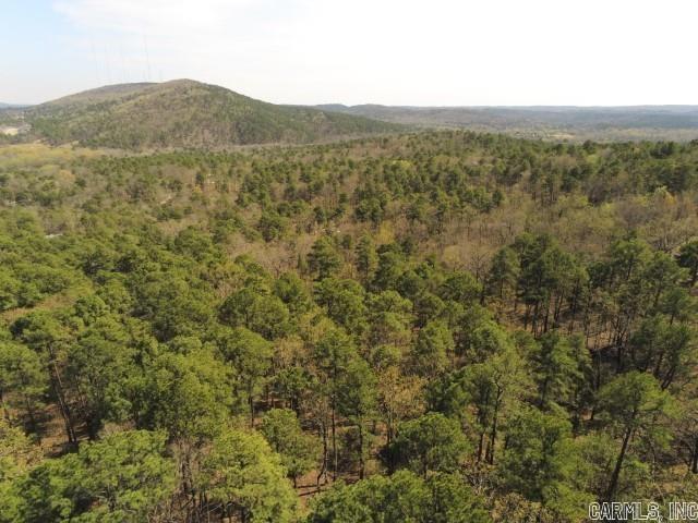 23420 Lot 4 Mills Mountain Road Property Photo 6