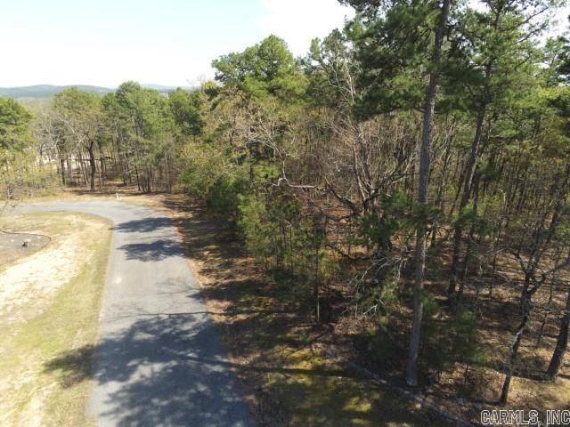 23420 Lot 4 Mills Mountain Road Property Photo 7
