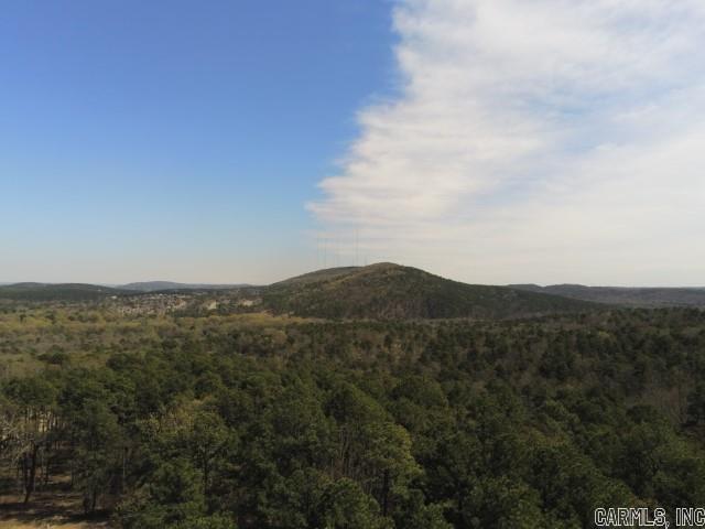 23420 Lot 4 Mills Mountain Road Property Photo 8