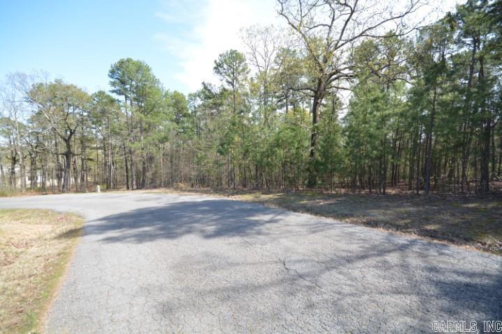 23420 Lot 4 Mills Mountain Road Property Photo 9